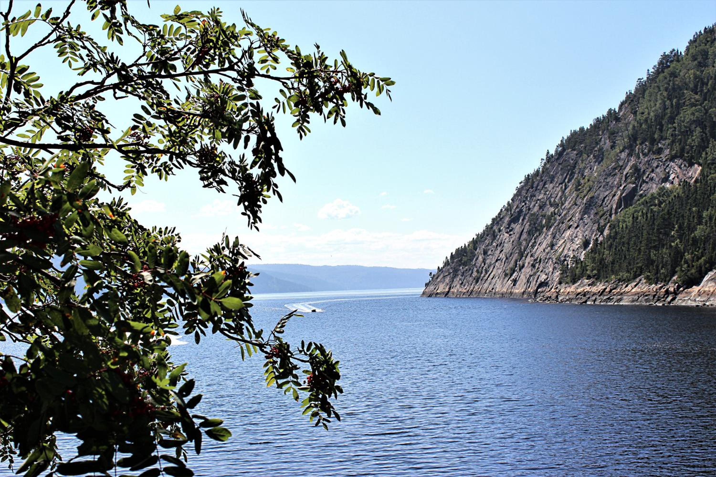 Panoramique du Fjord