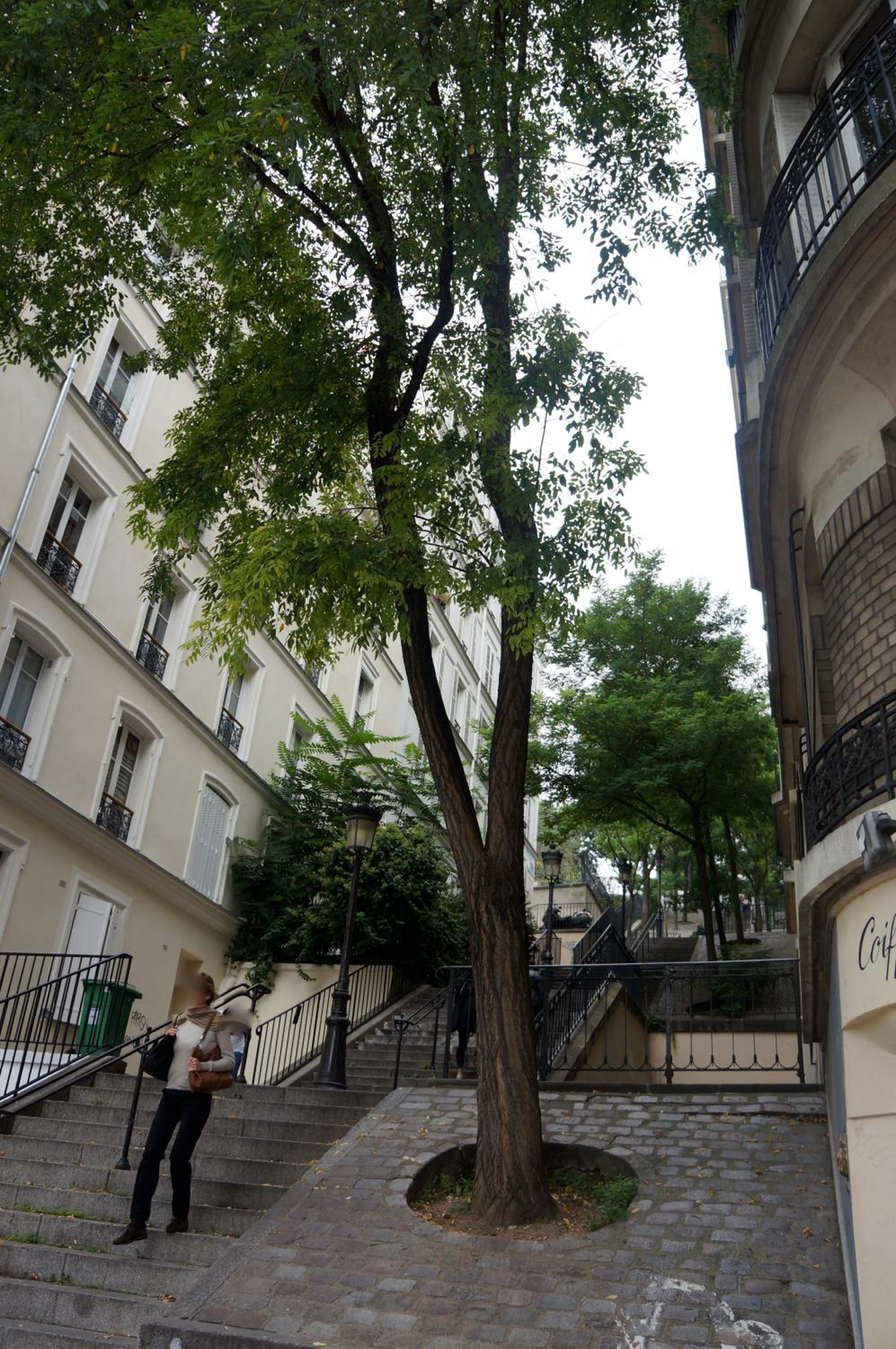 Studios de Charme à Montmartre