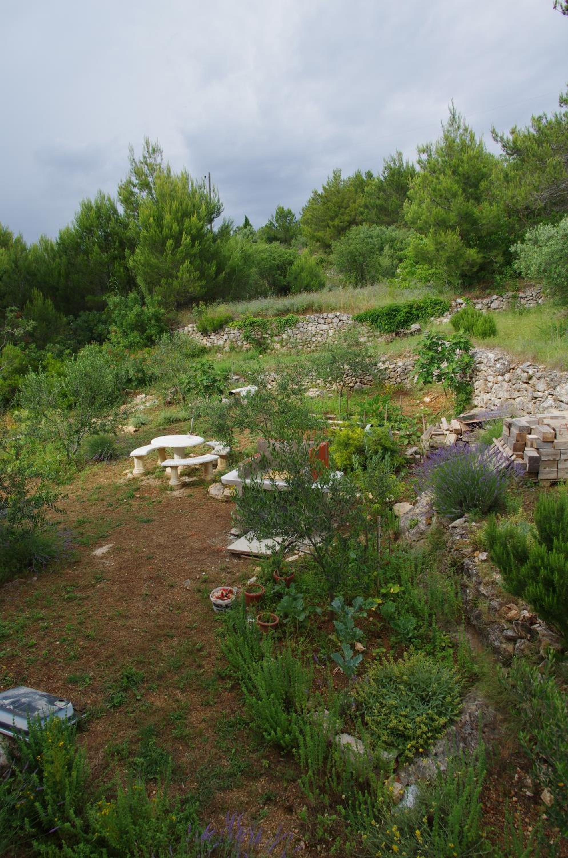 Photo 13
