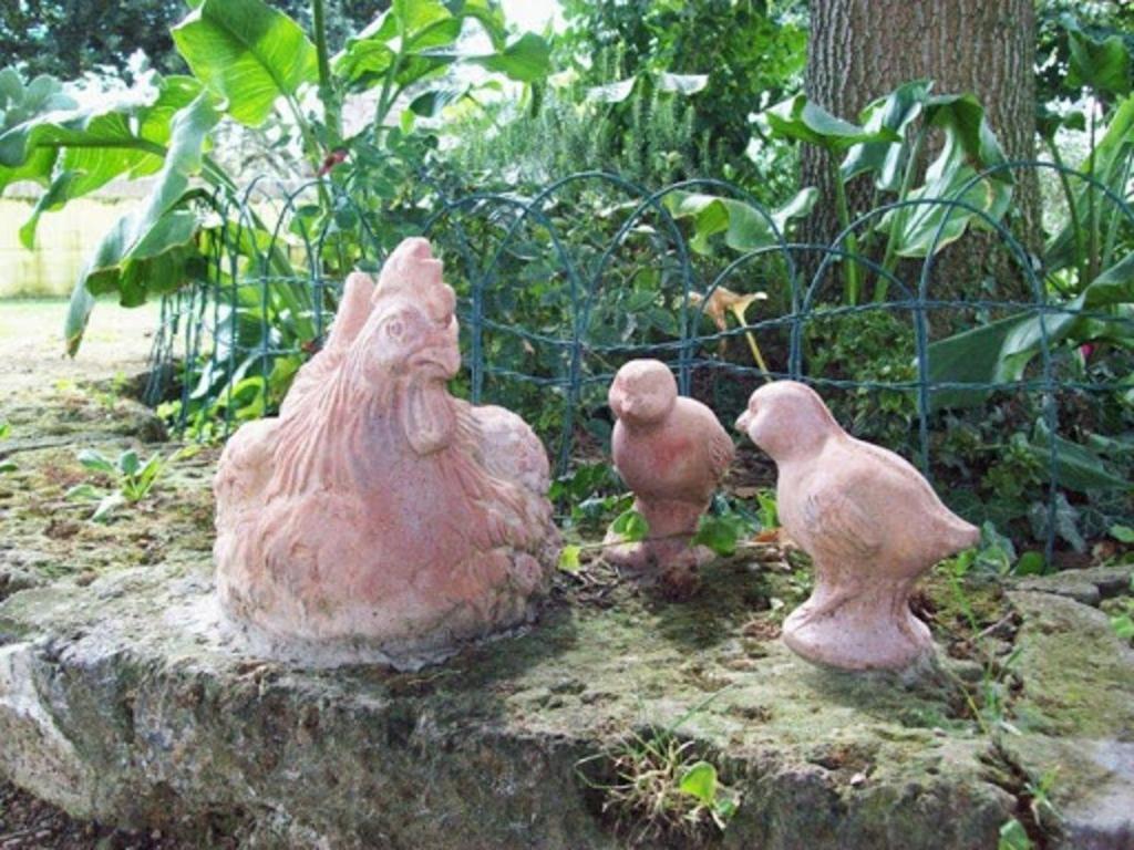 Photo 20