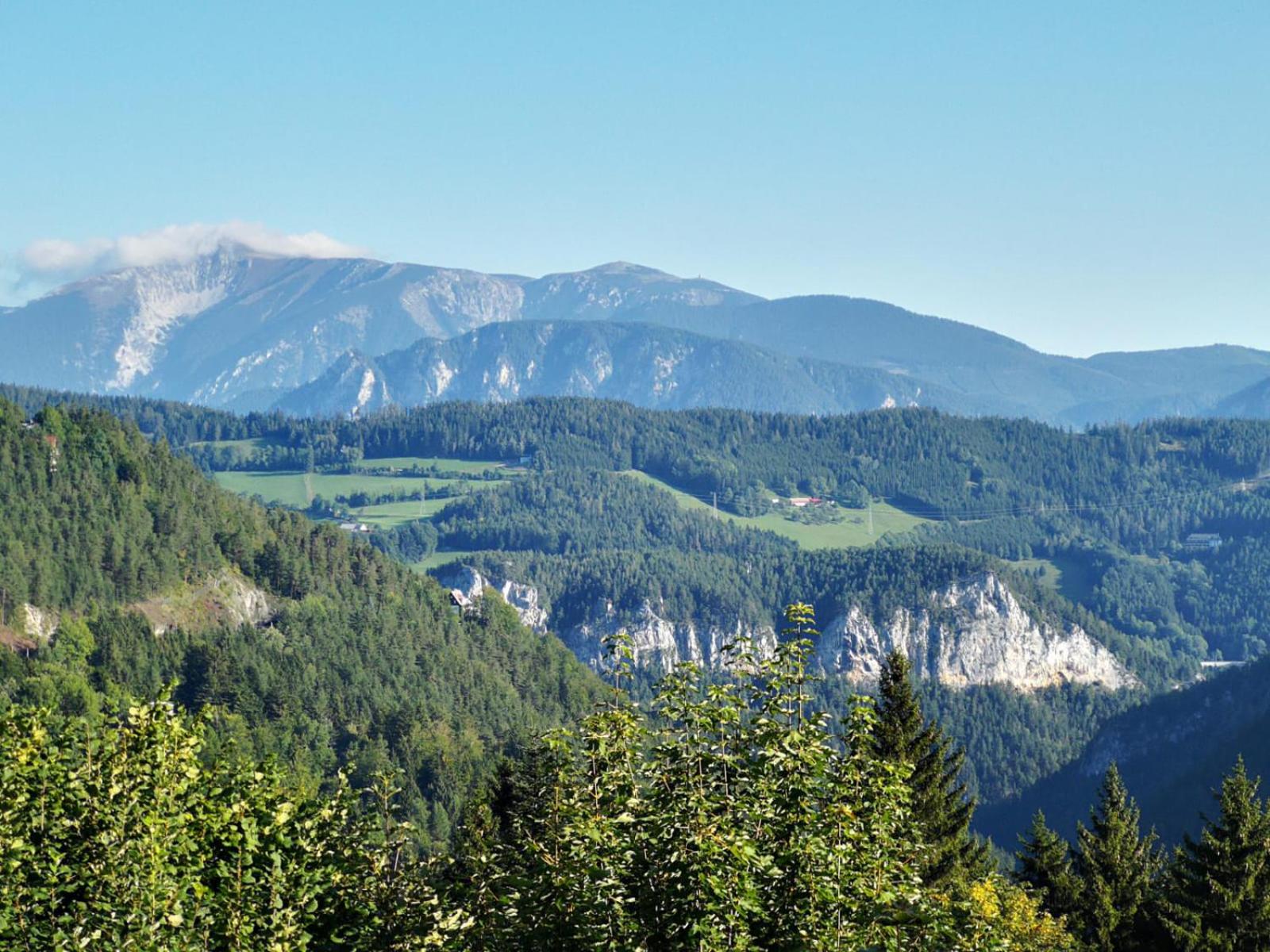 Waldnest am Semmering