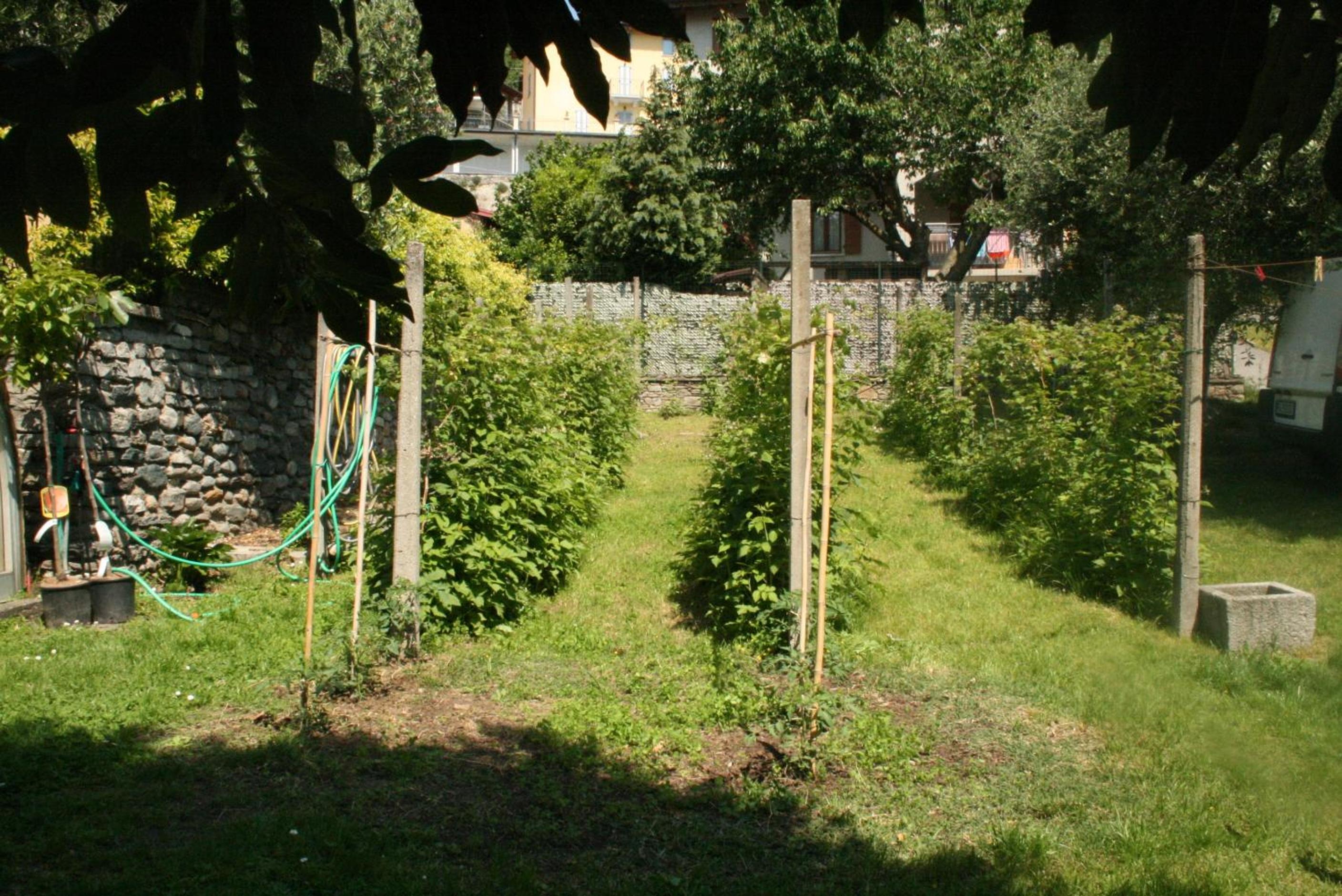 Photo 38