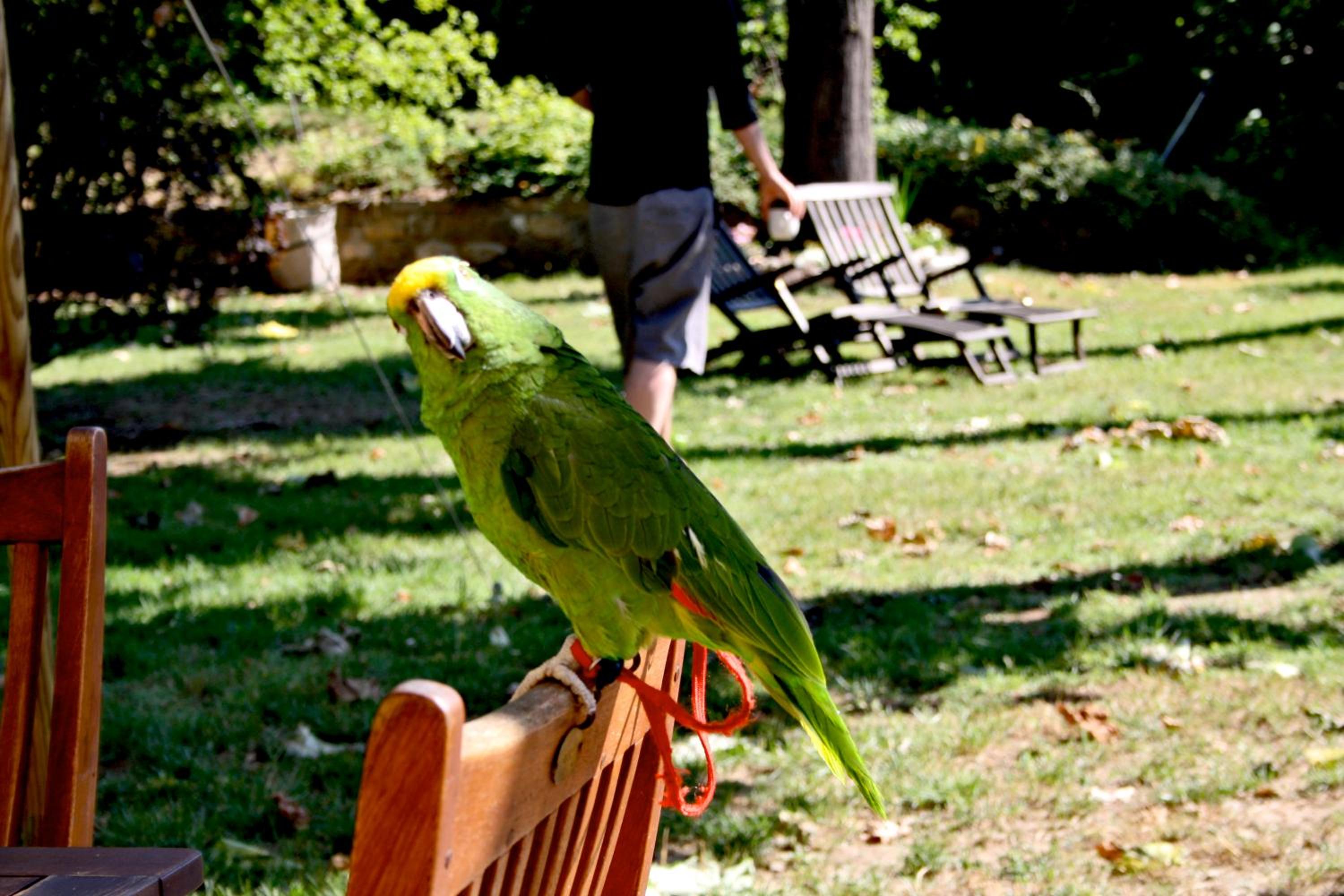 La Martellina B&B