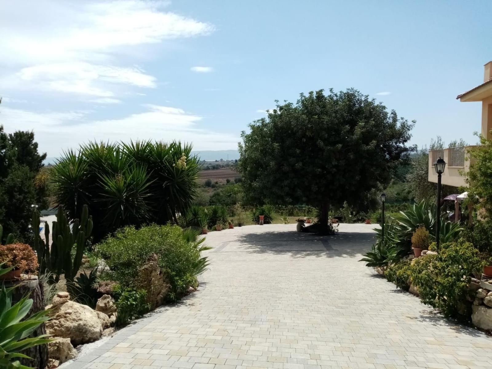 Photo 45