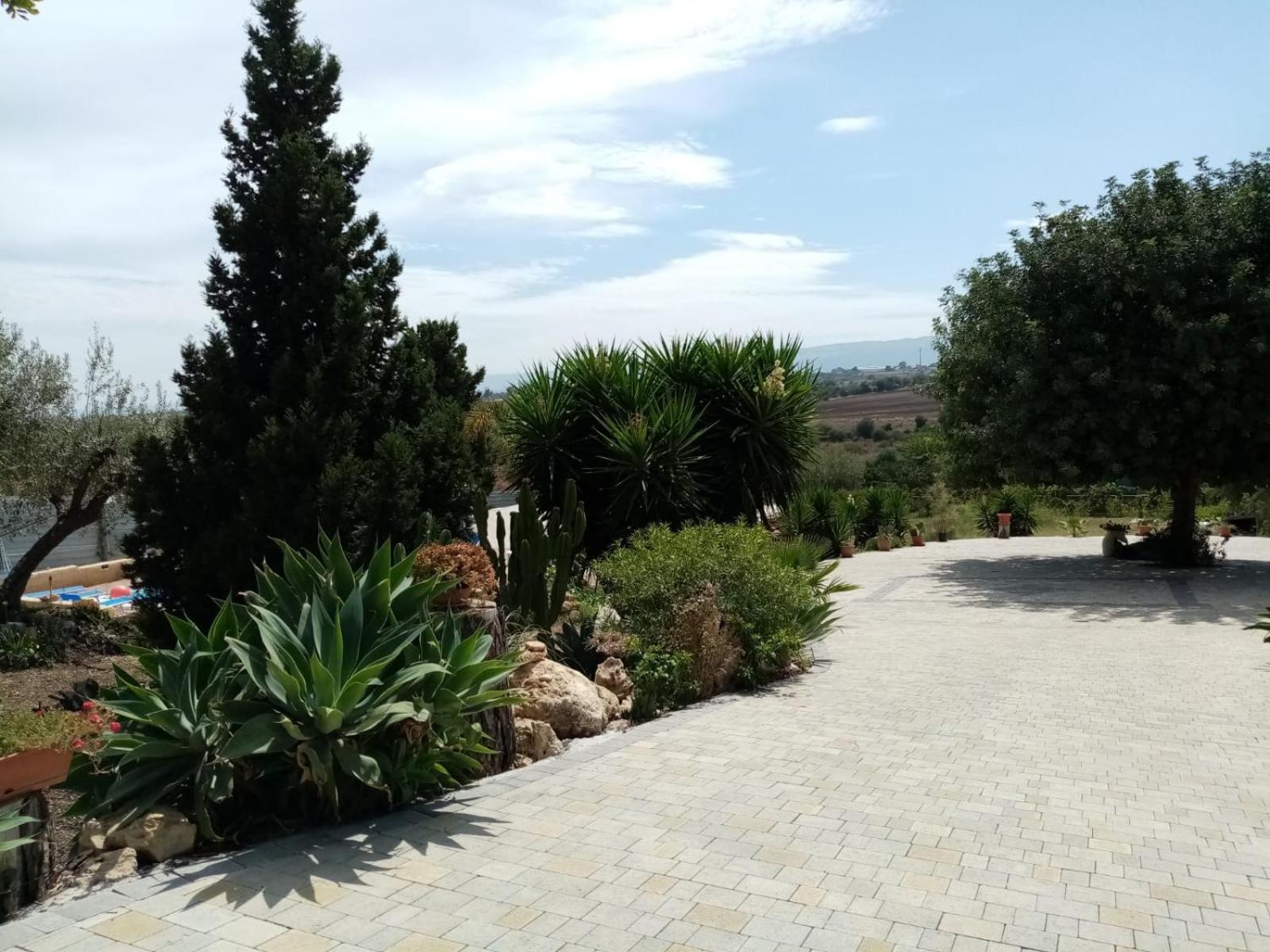Photo 28