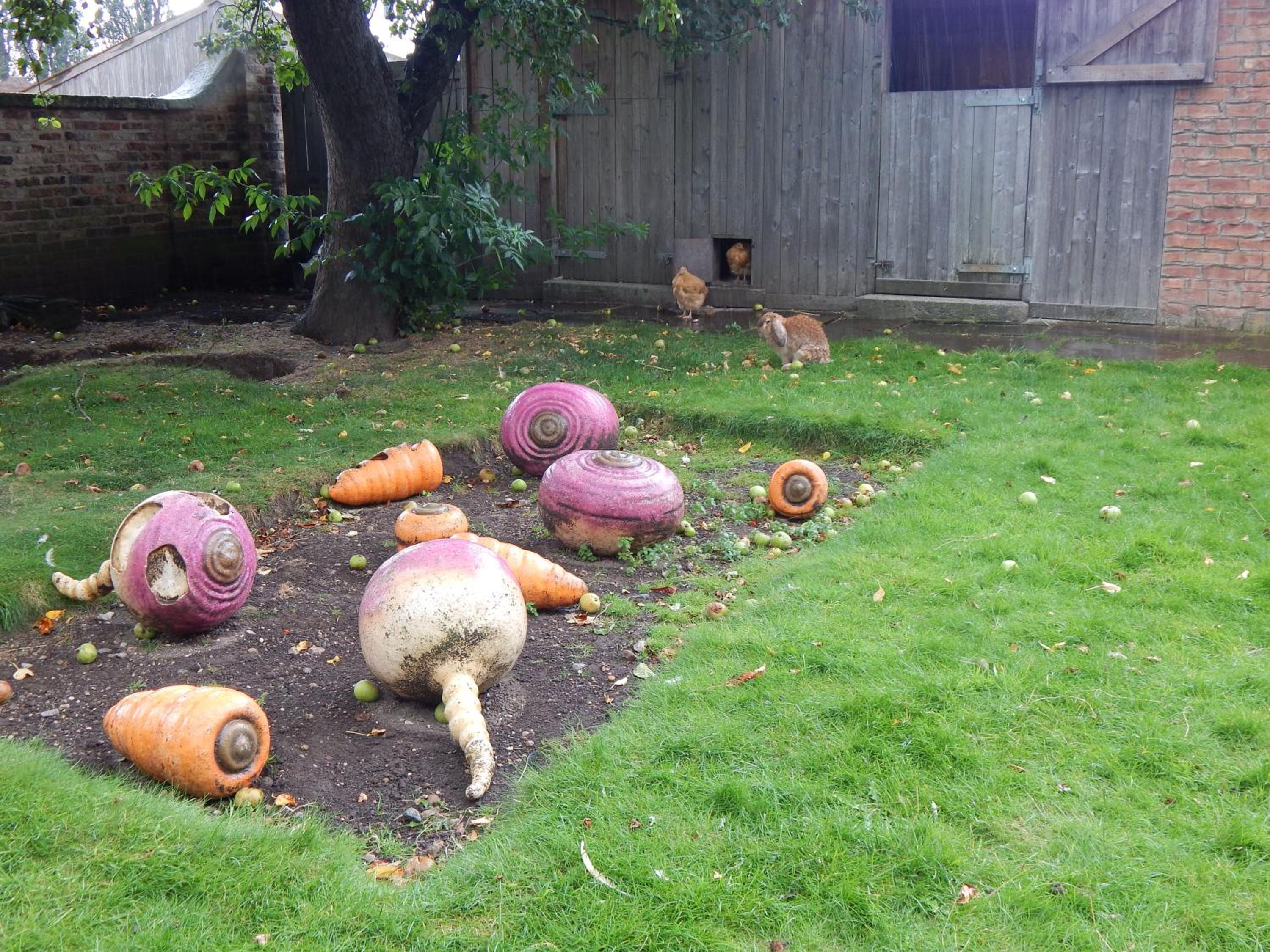 Photo 23