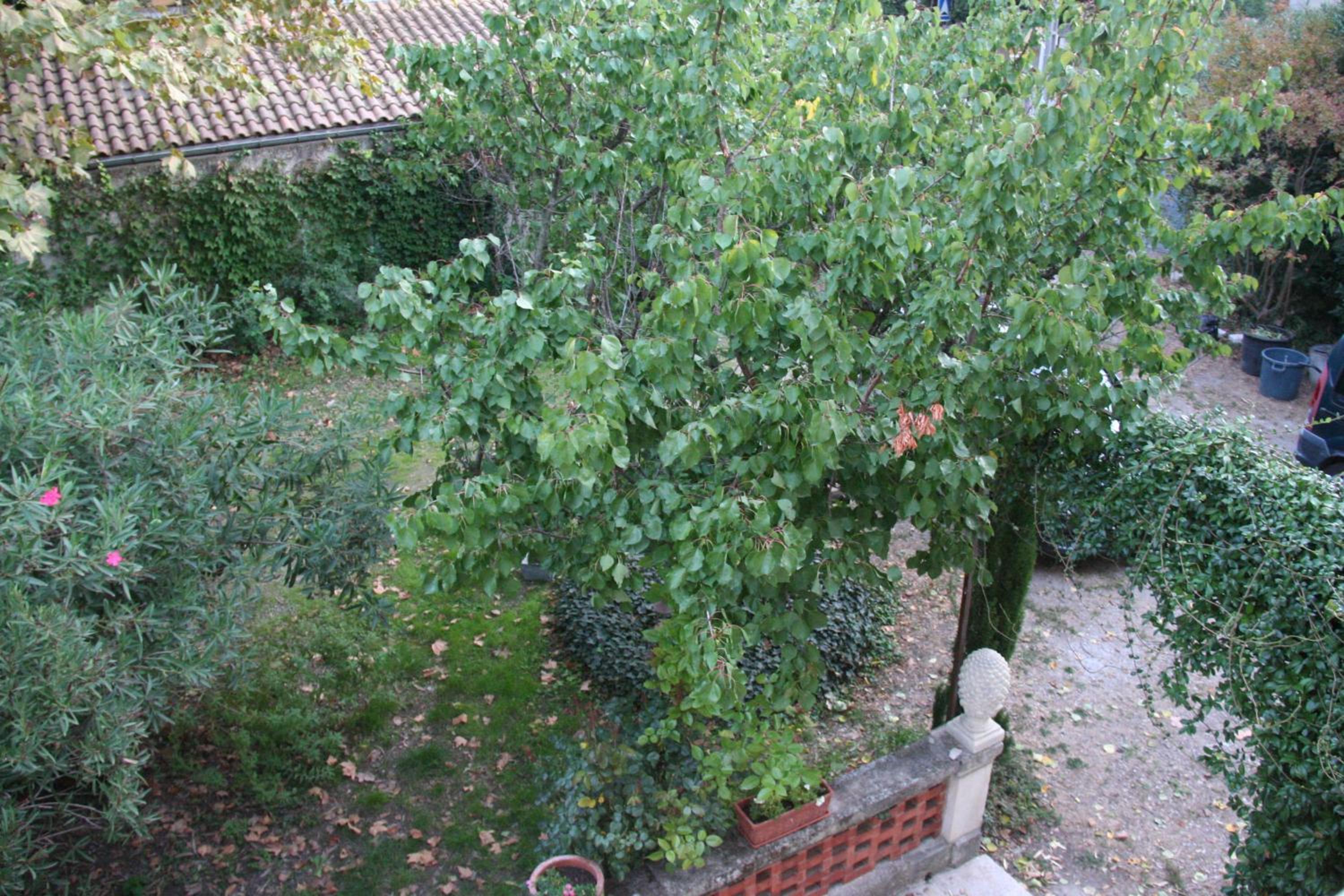 Photo 24