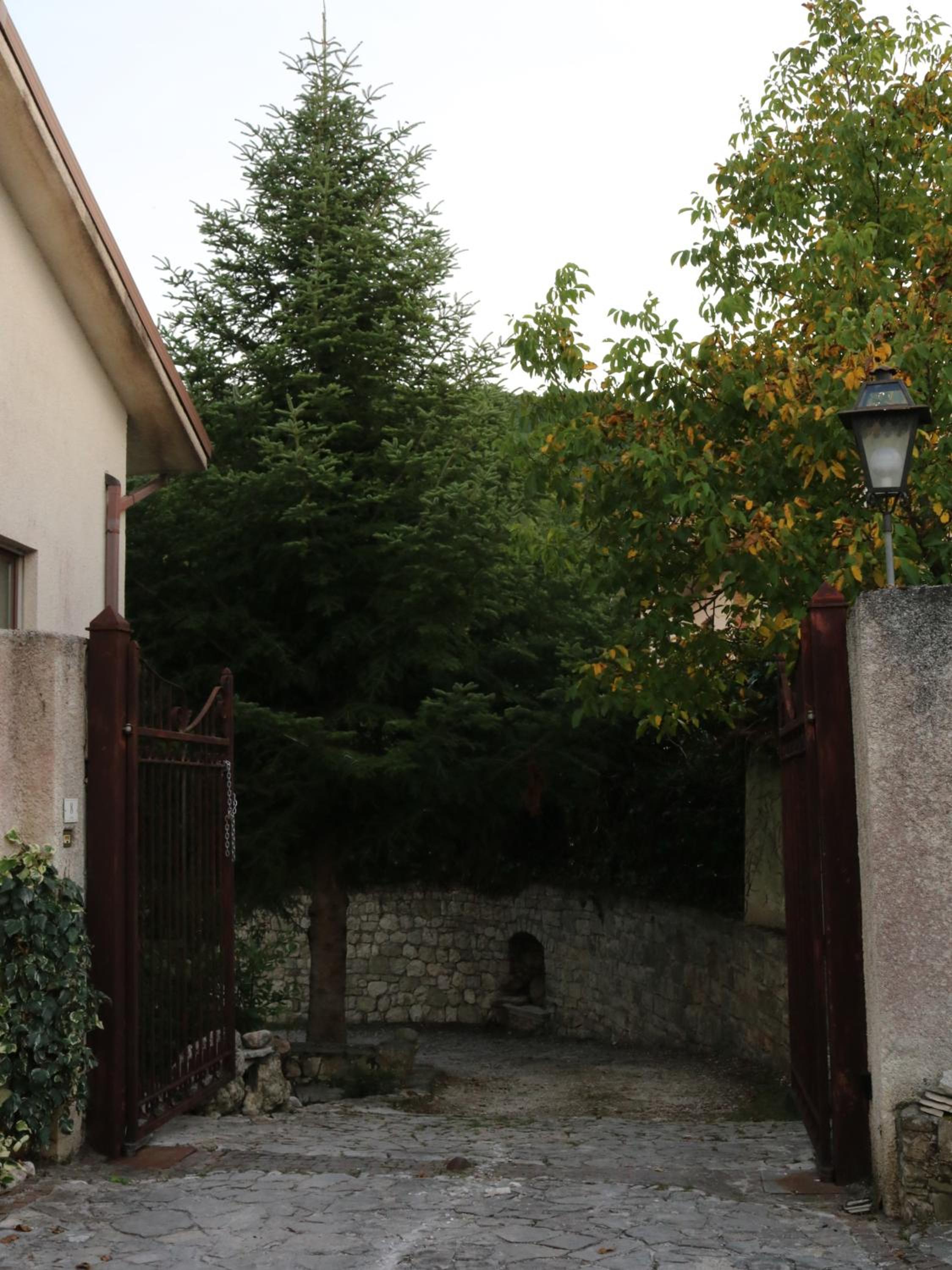 Photo 23