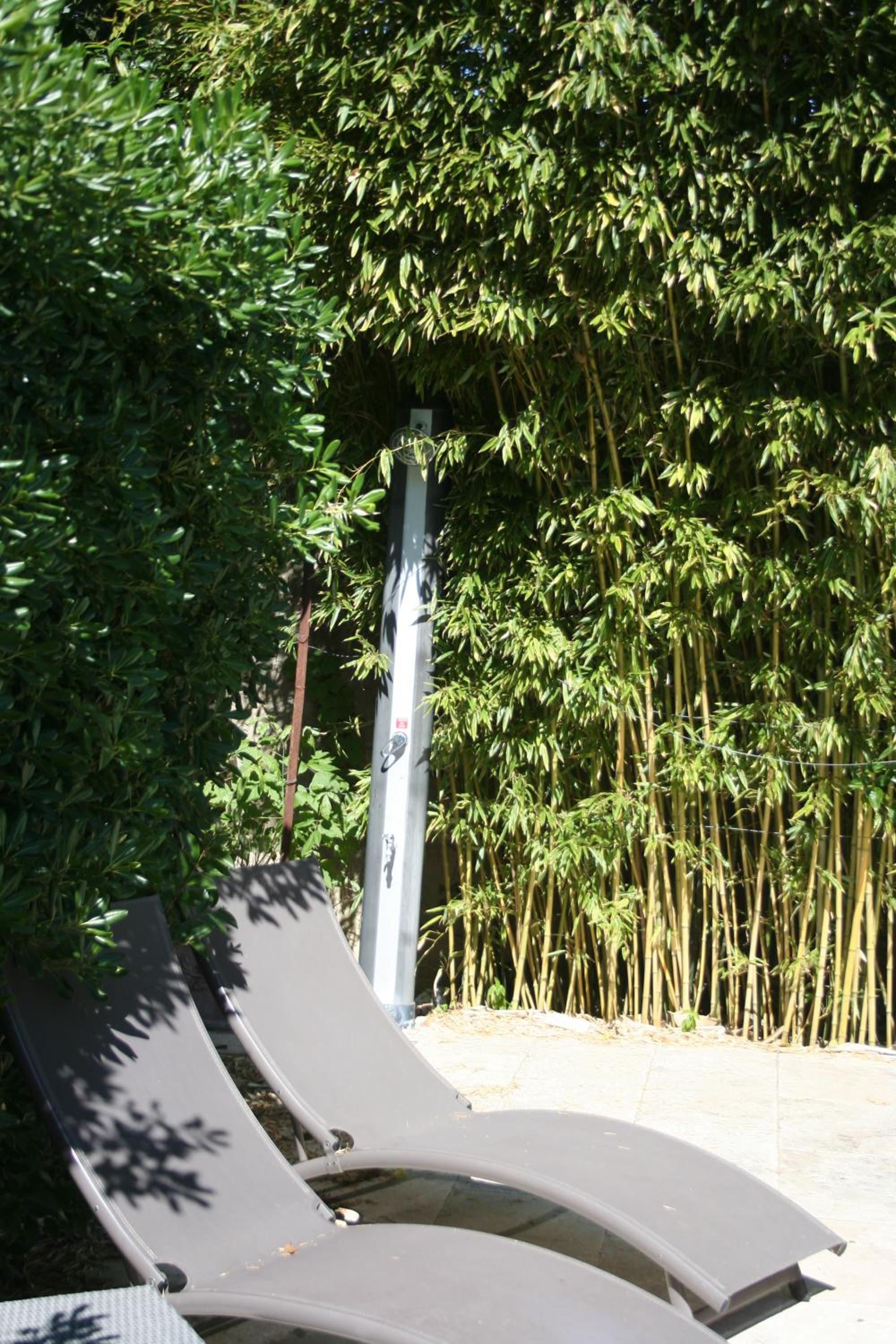 LE PETIT PALAIS Maisonnette view 5
