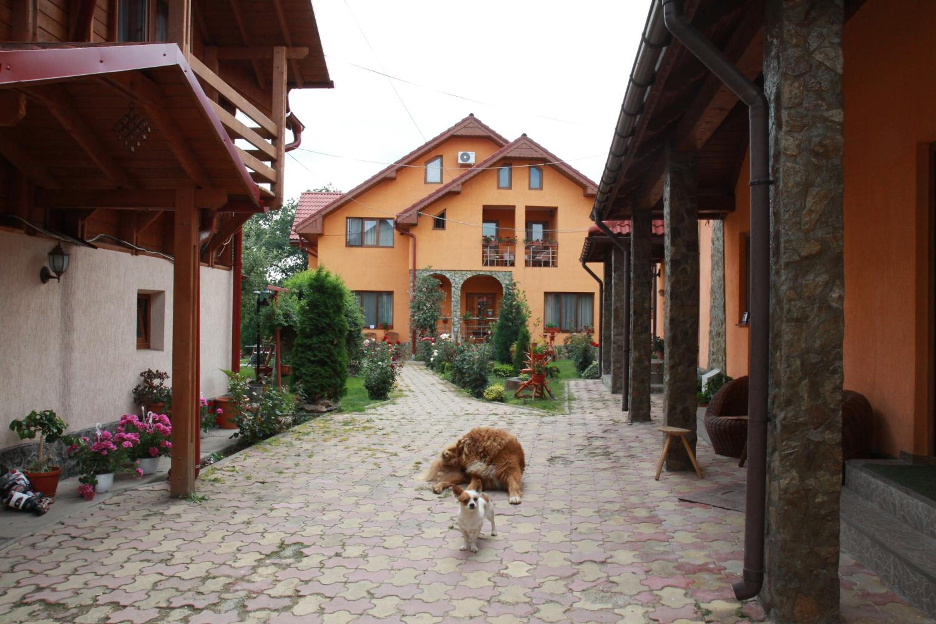 Photo 22