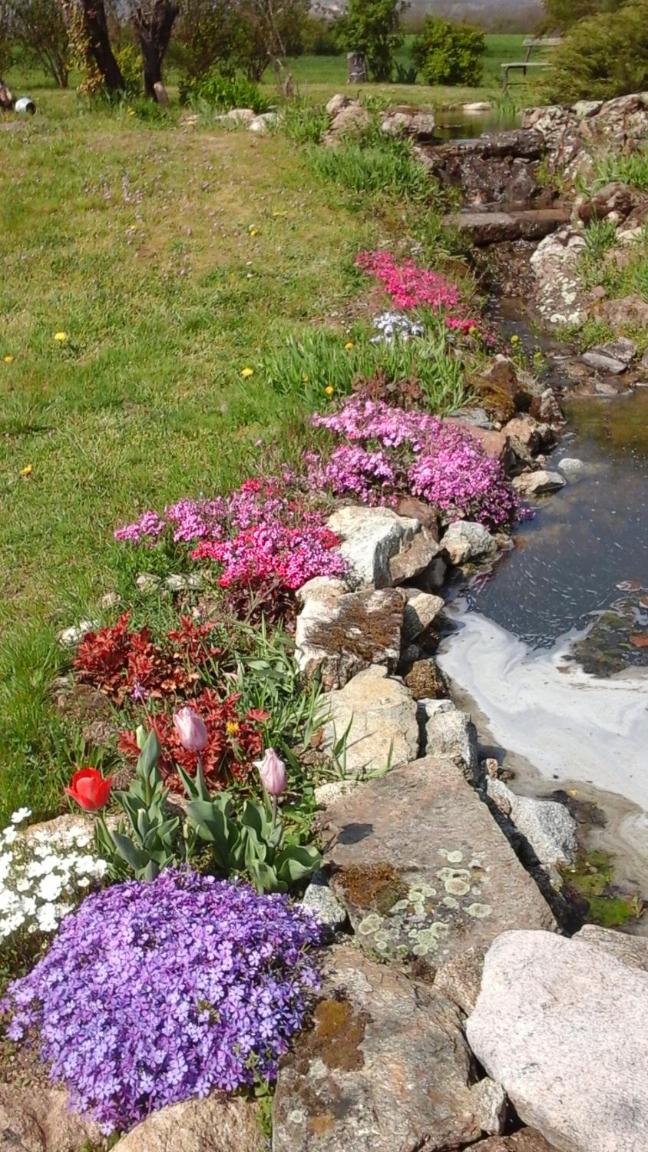 Photo 32