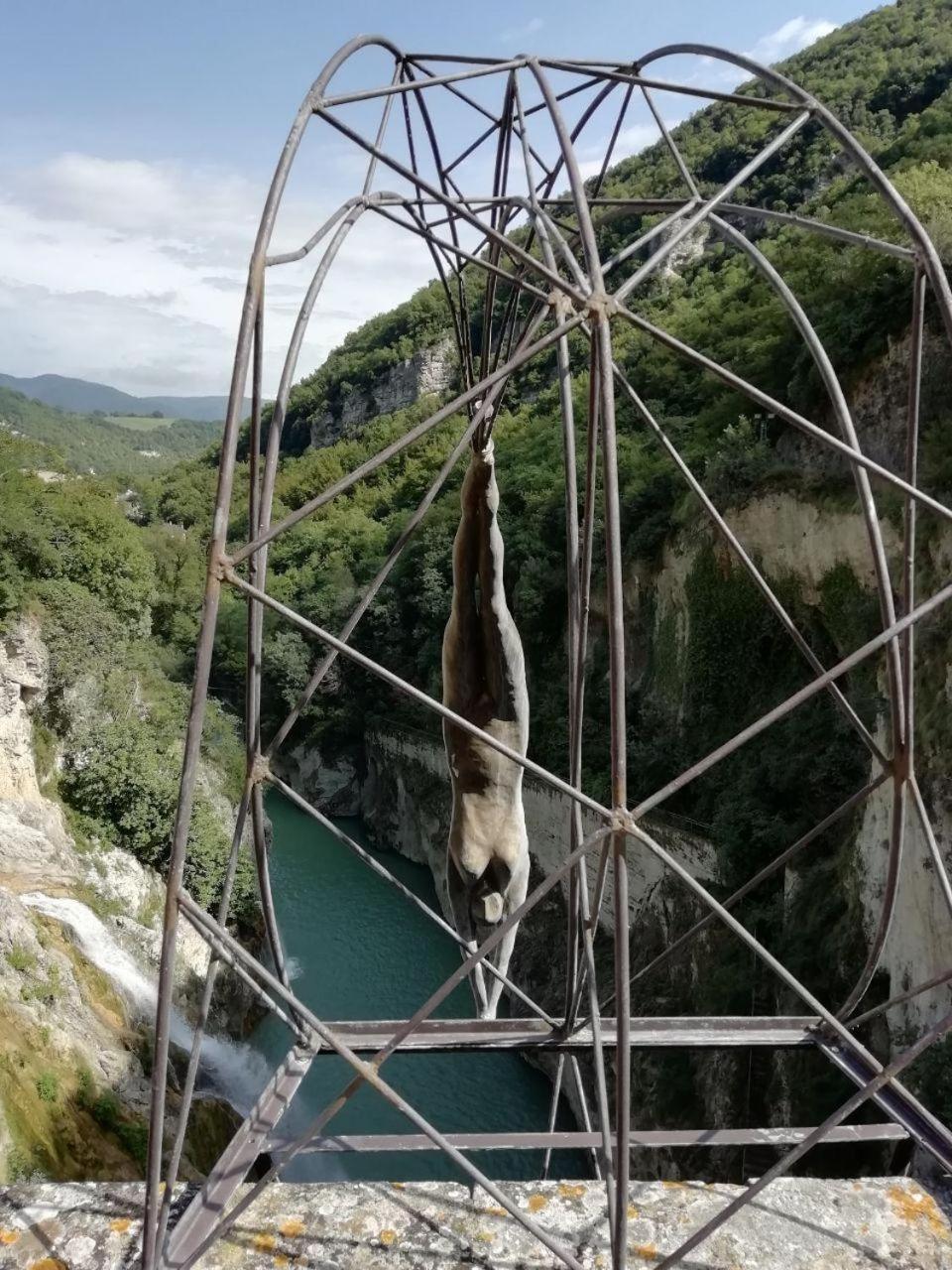 La Corte di Nonna Quercia view 3