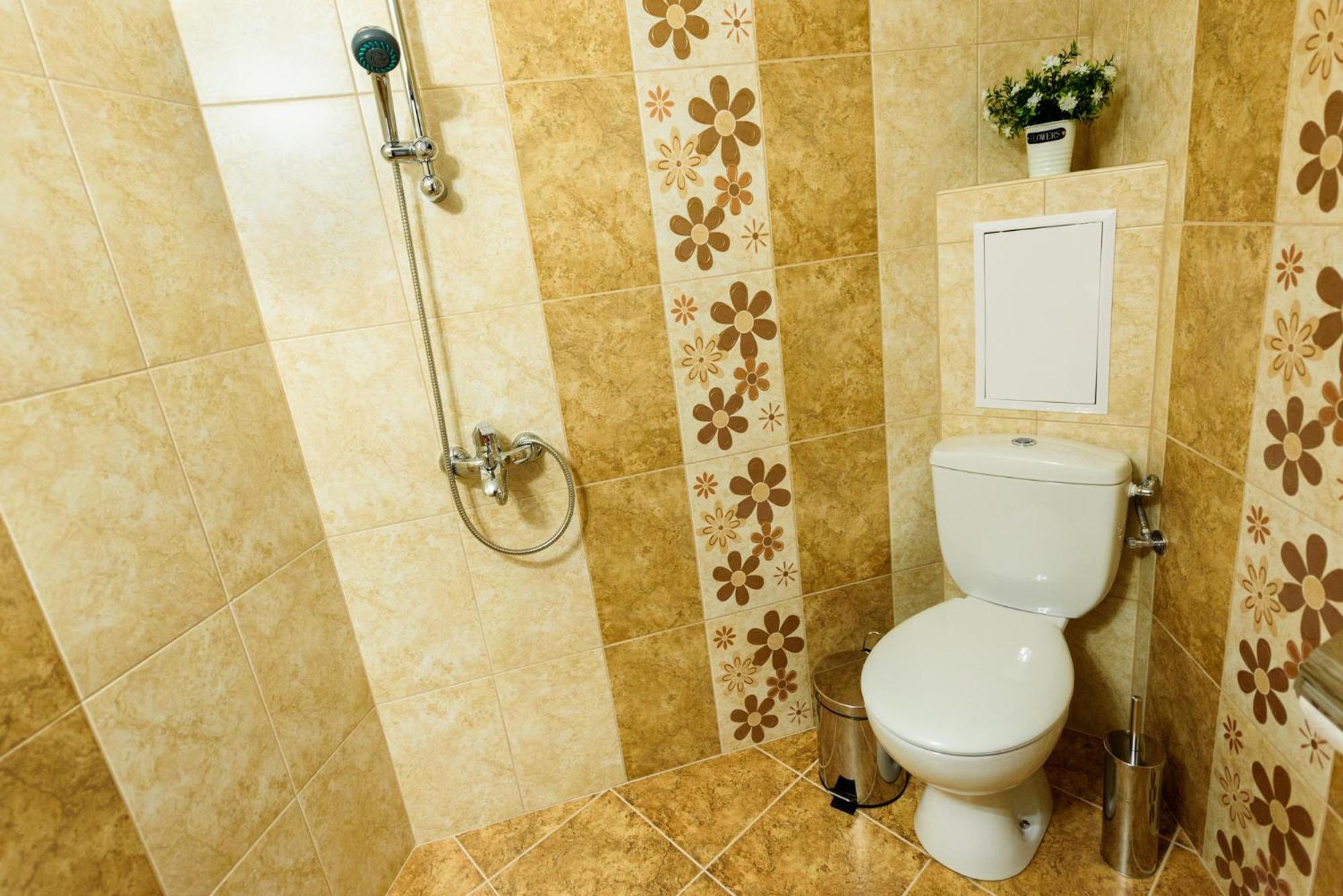 Trapezitsa Apartment