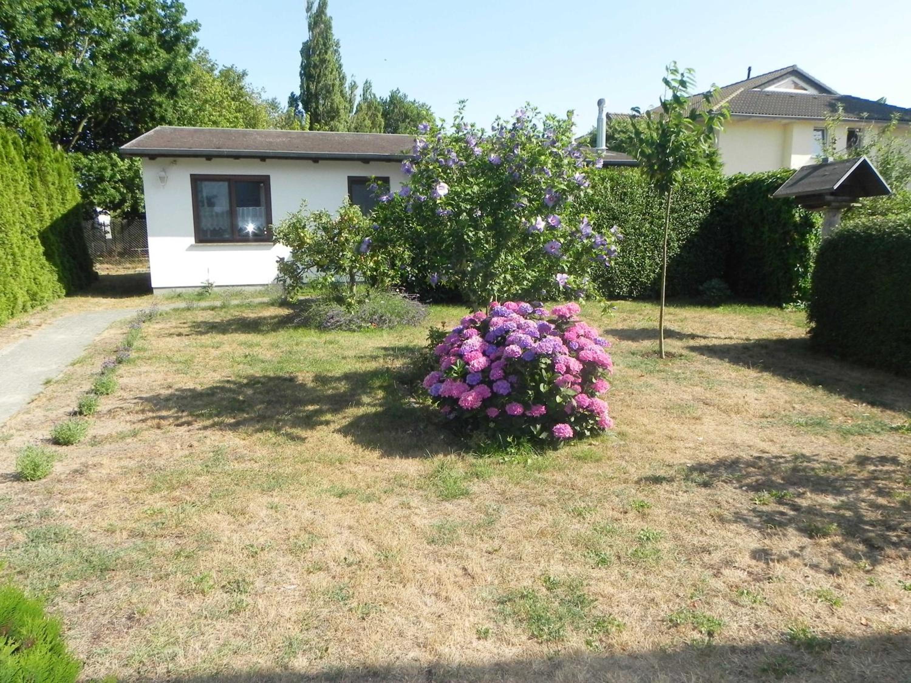 Bungalow _Carpe diem_