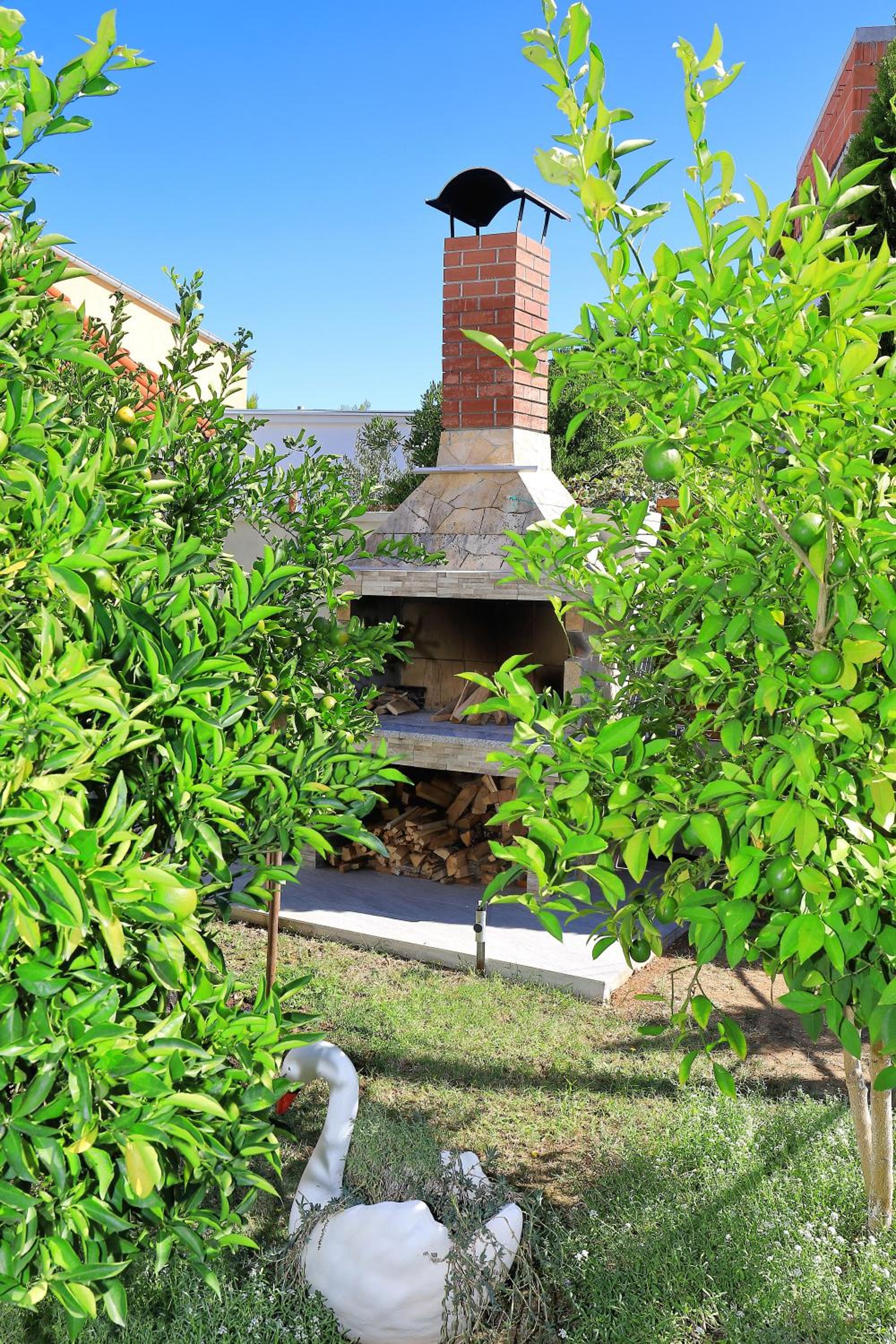 Photo 45