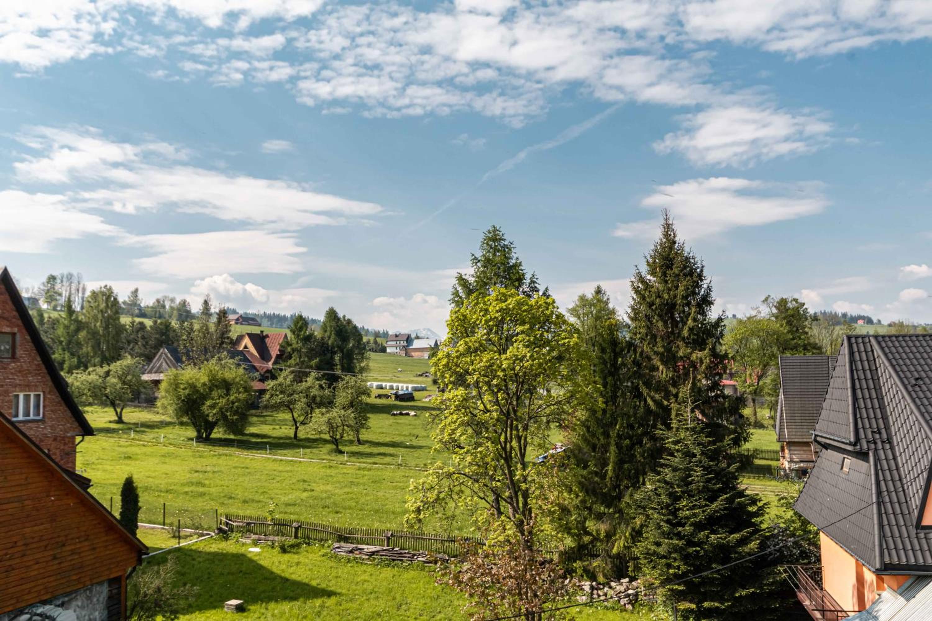 Gronik