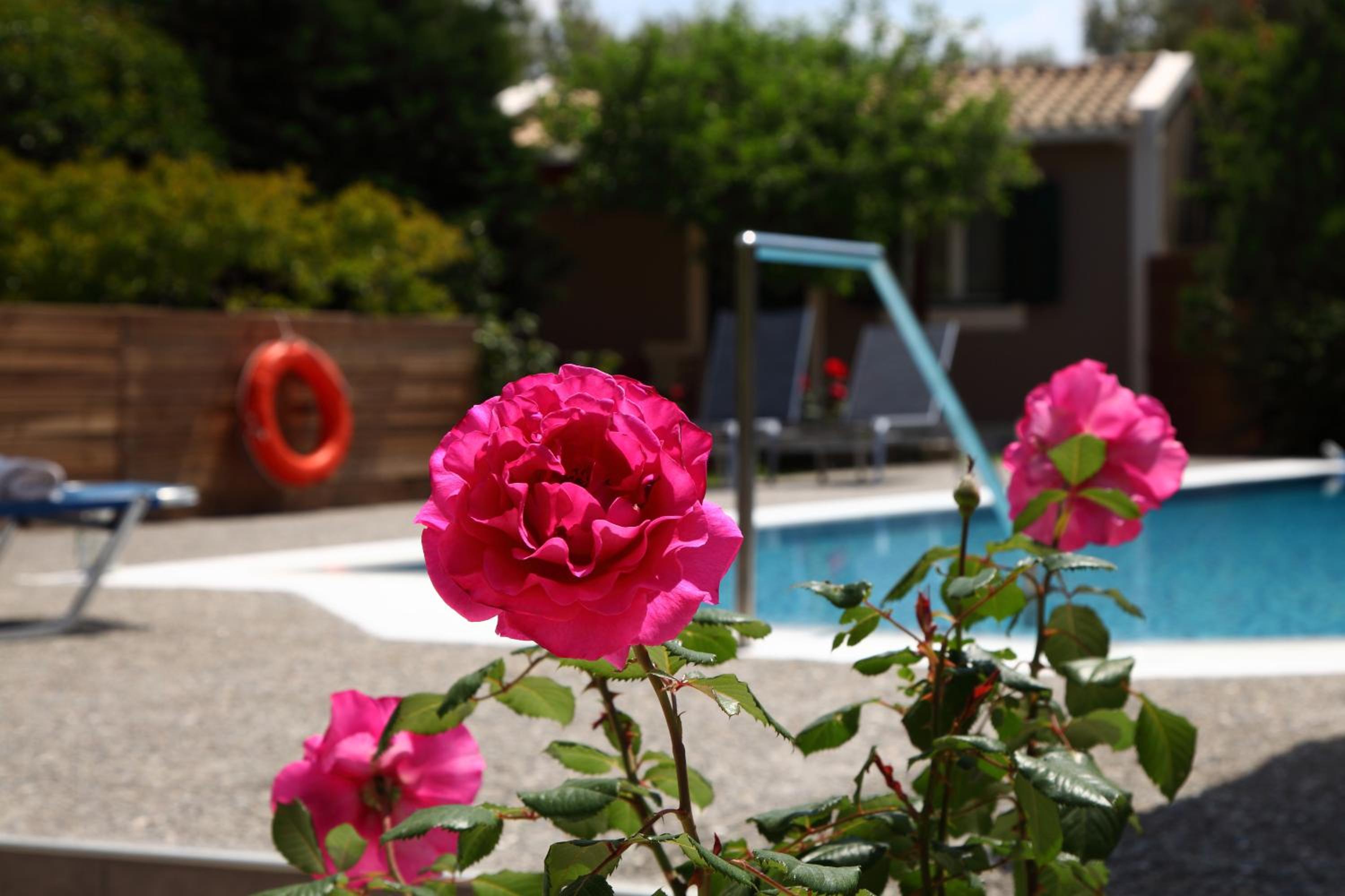 Volta Villas Lefkada