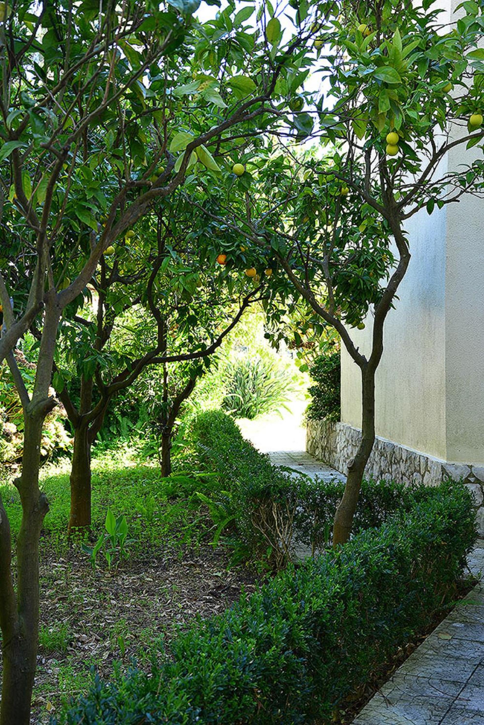 Villa Verdizela II view 5