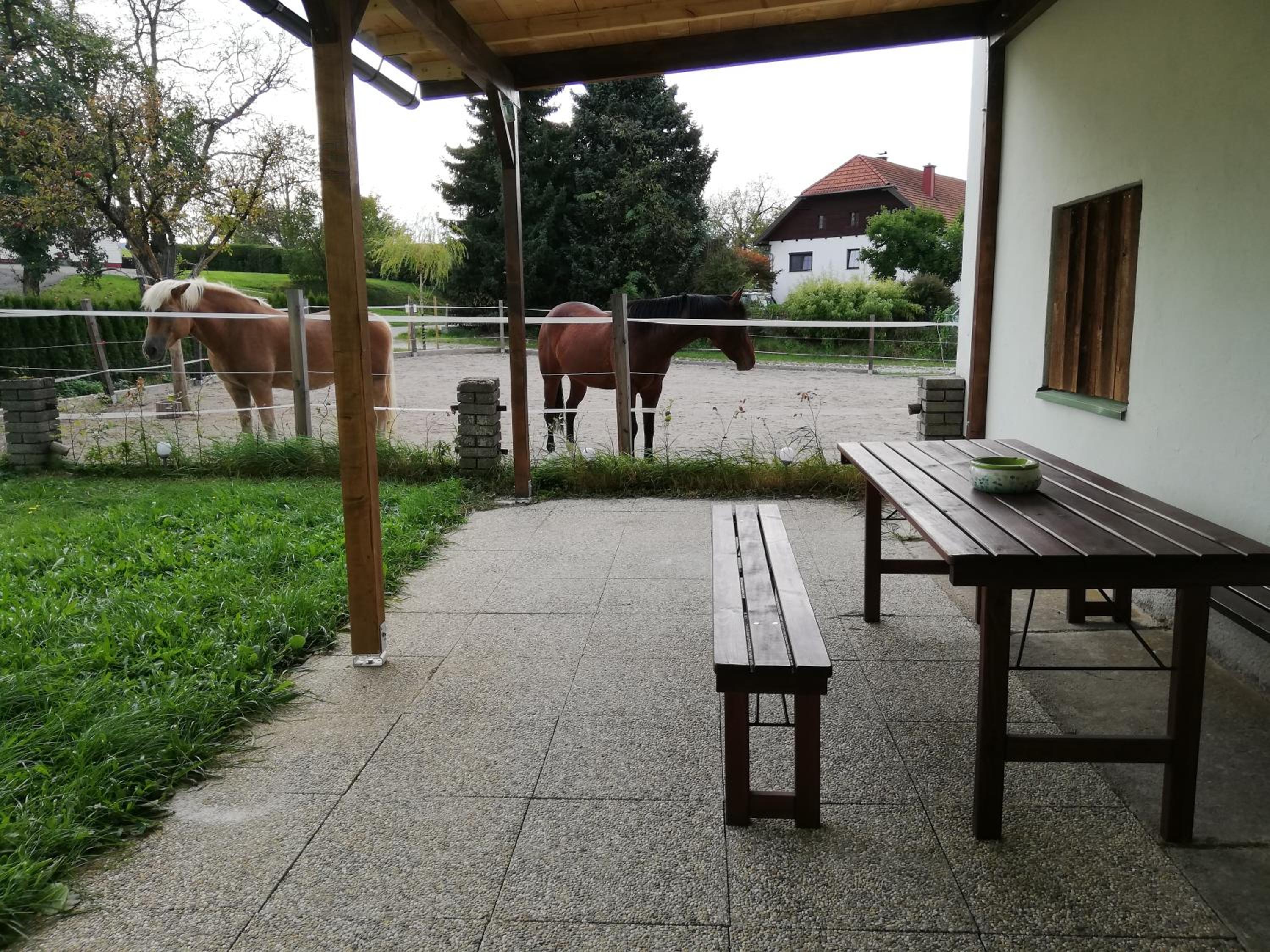Ferienwohnung Schmied 1