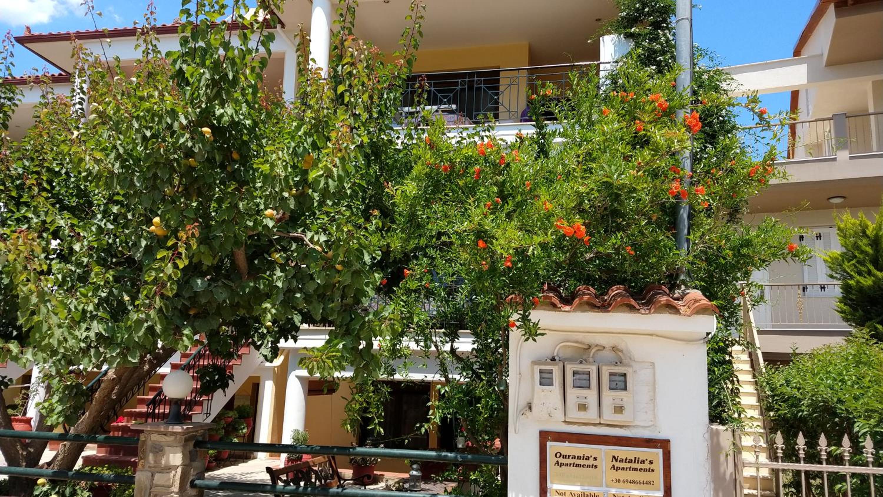 Photo 8