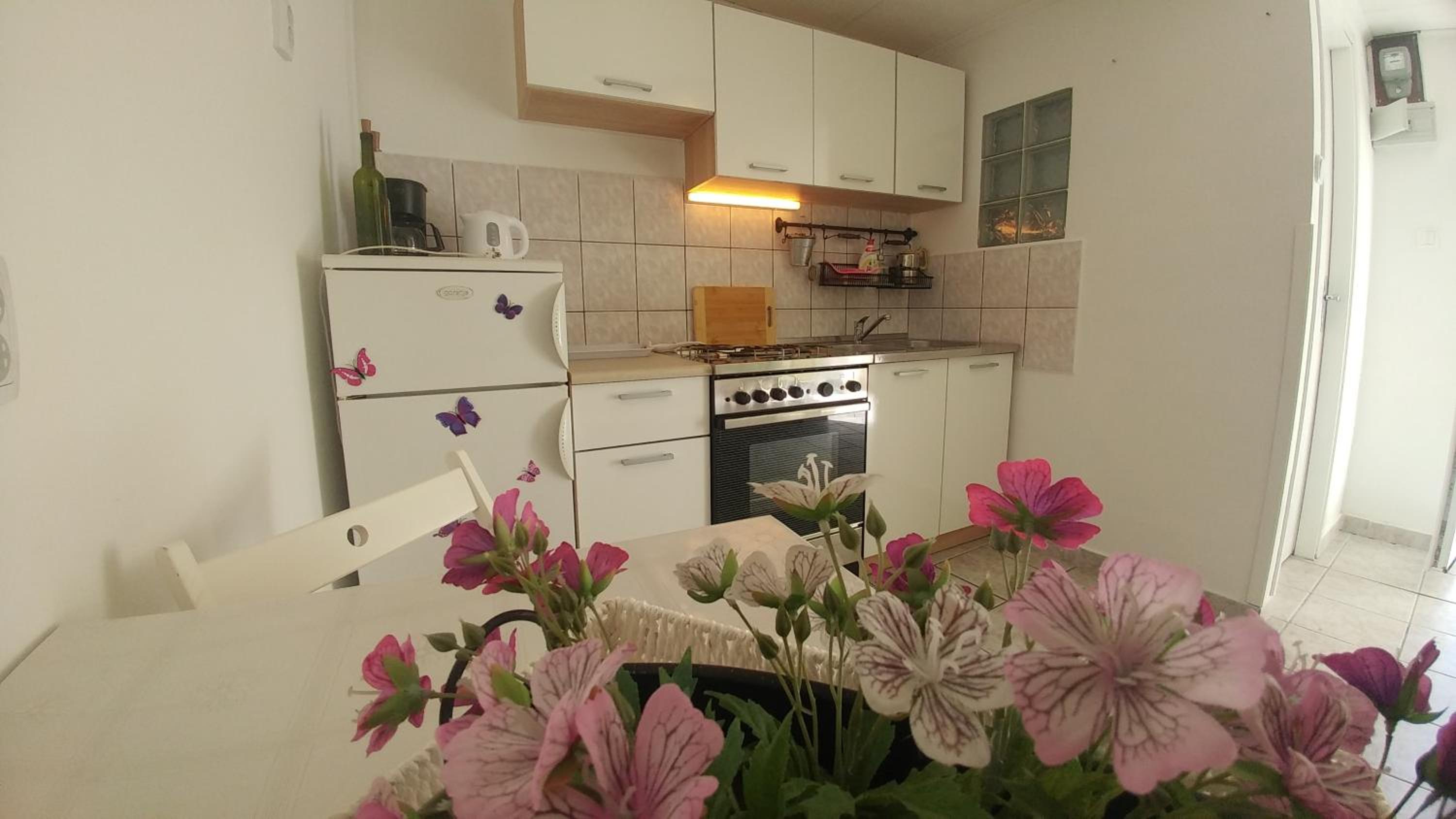Apartman Goga - main view