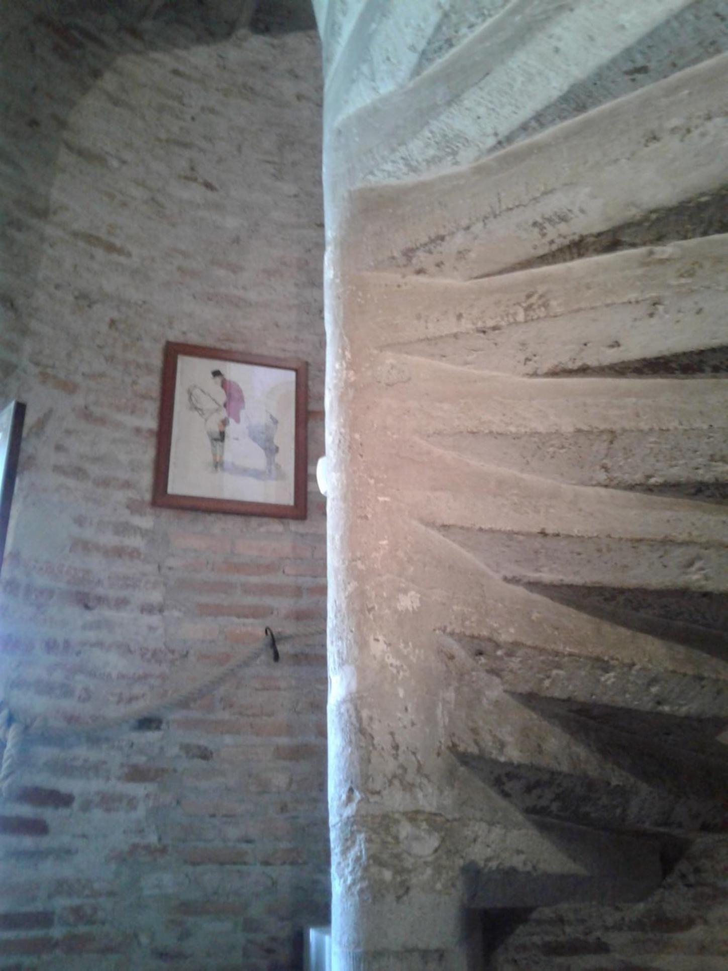 Photo 36