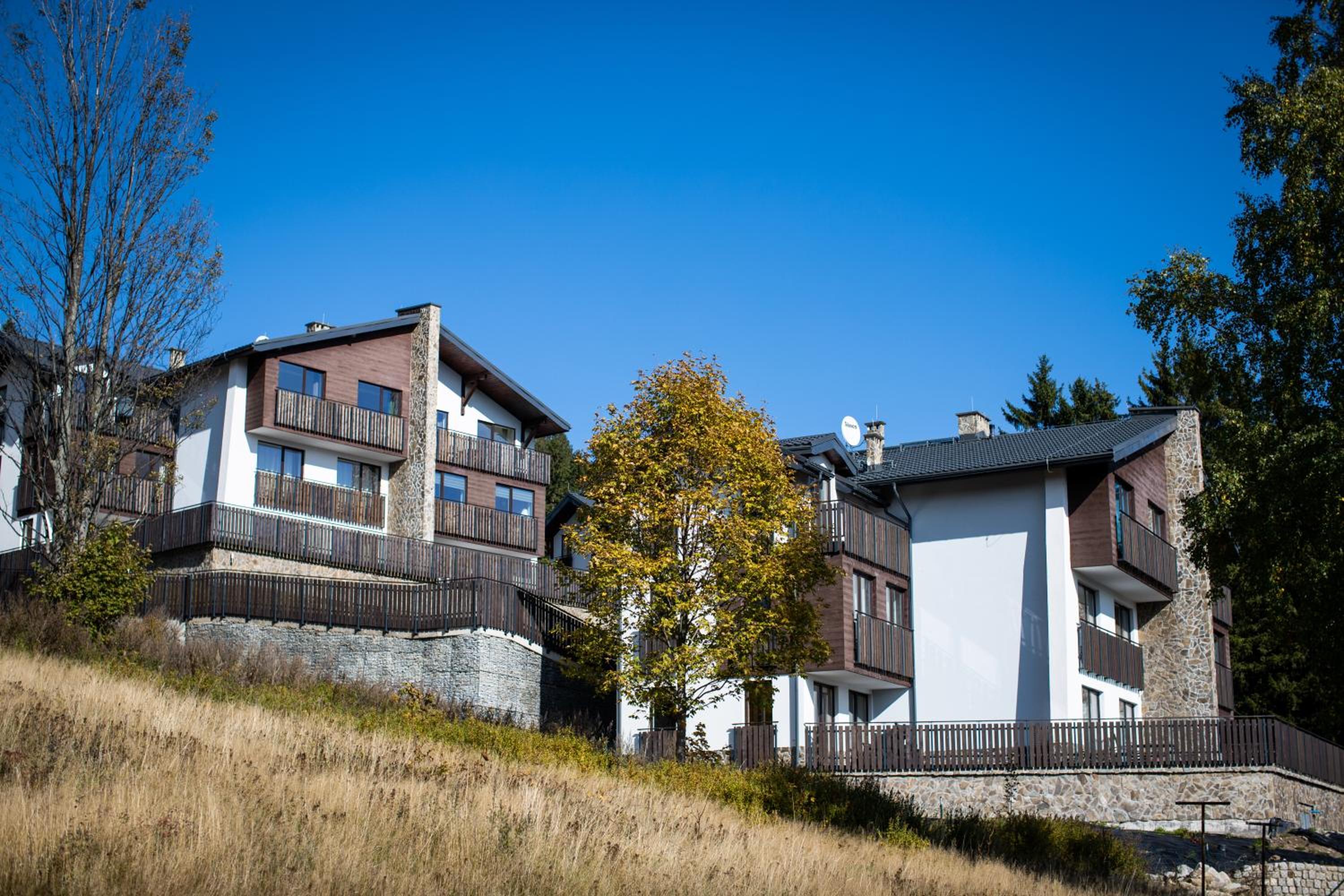 Widok Karkonosze