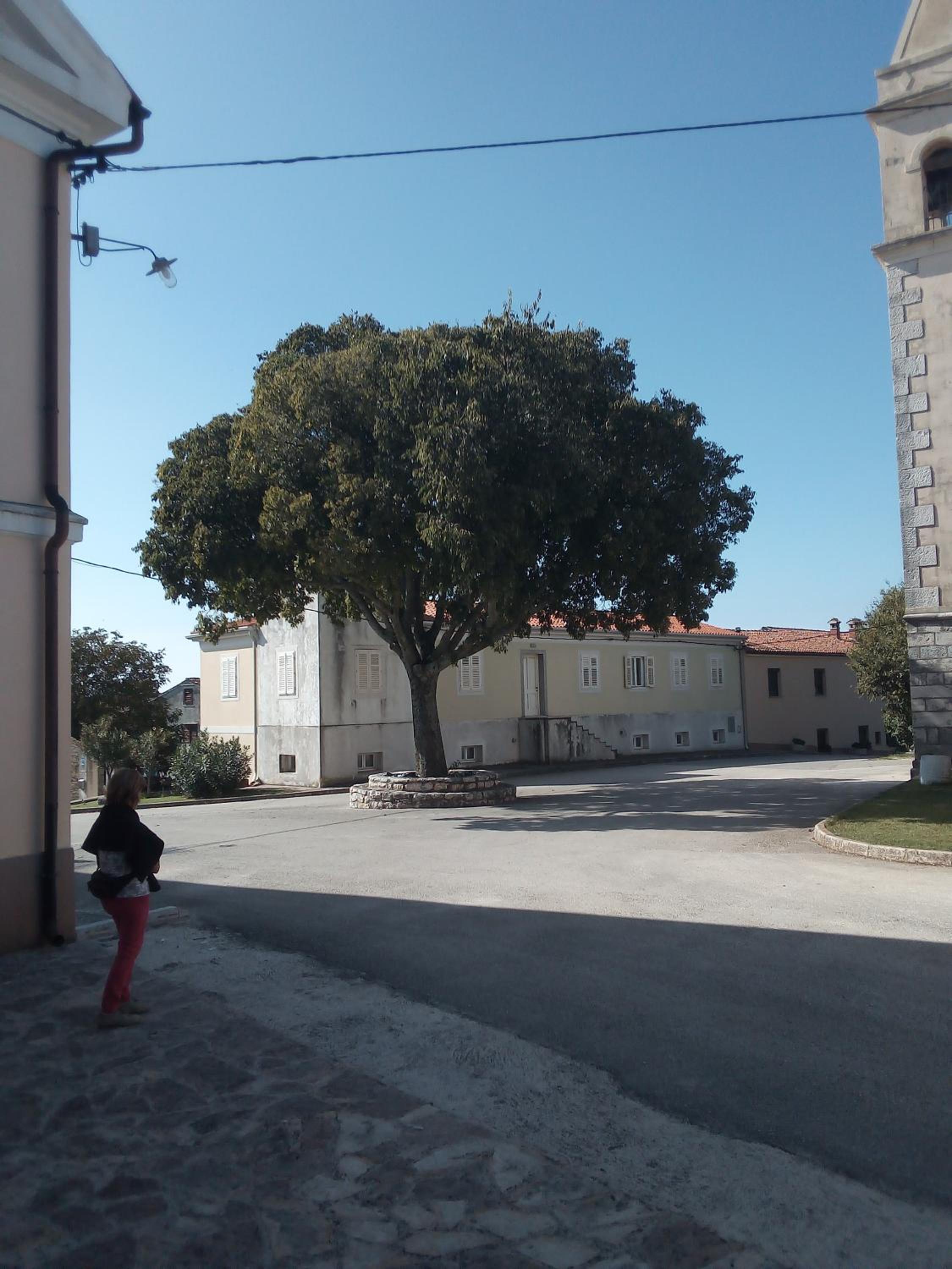 Photo 43