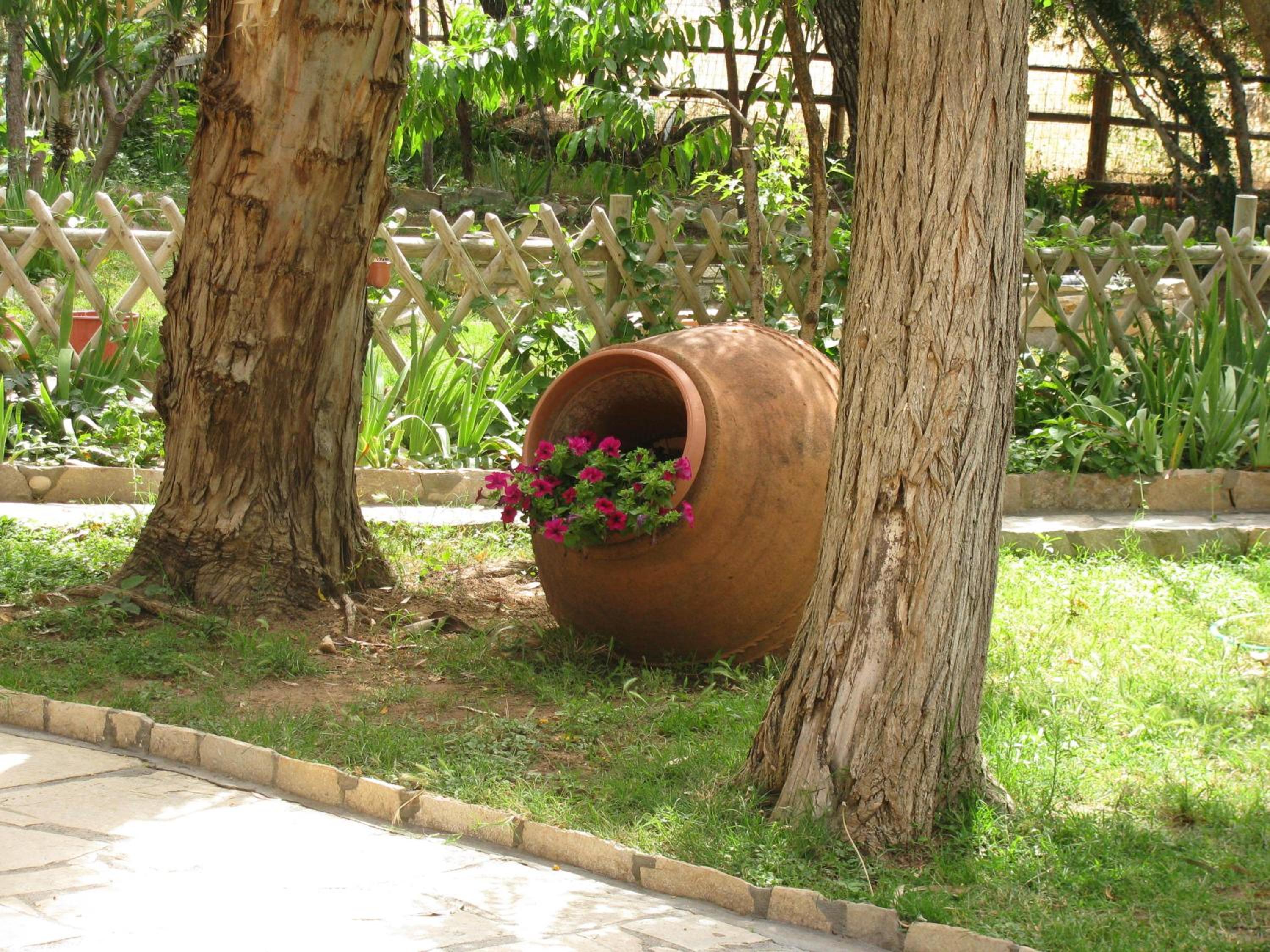 Photo 15