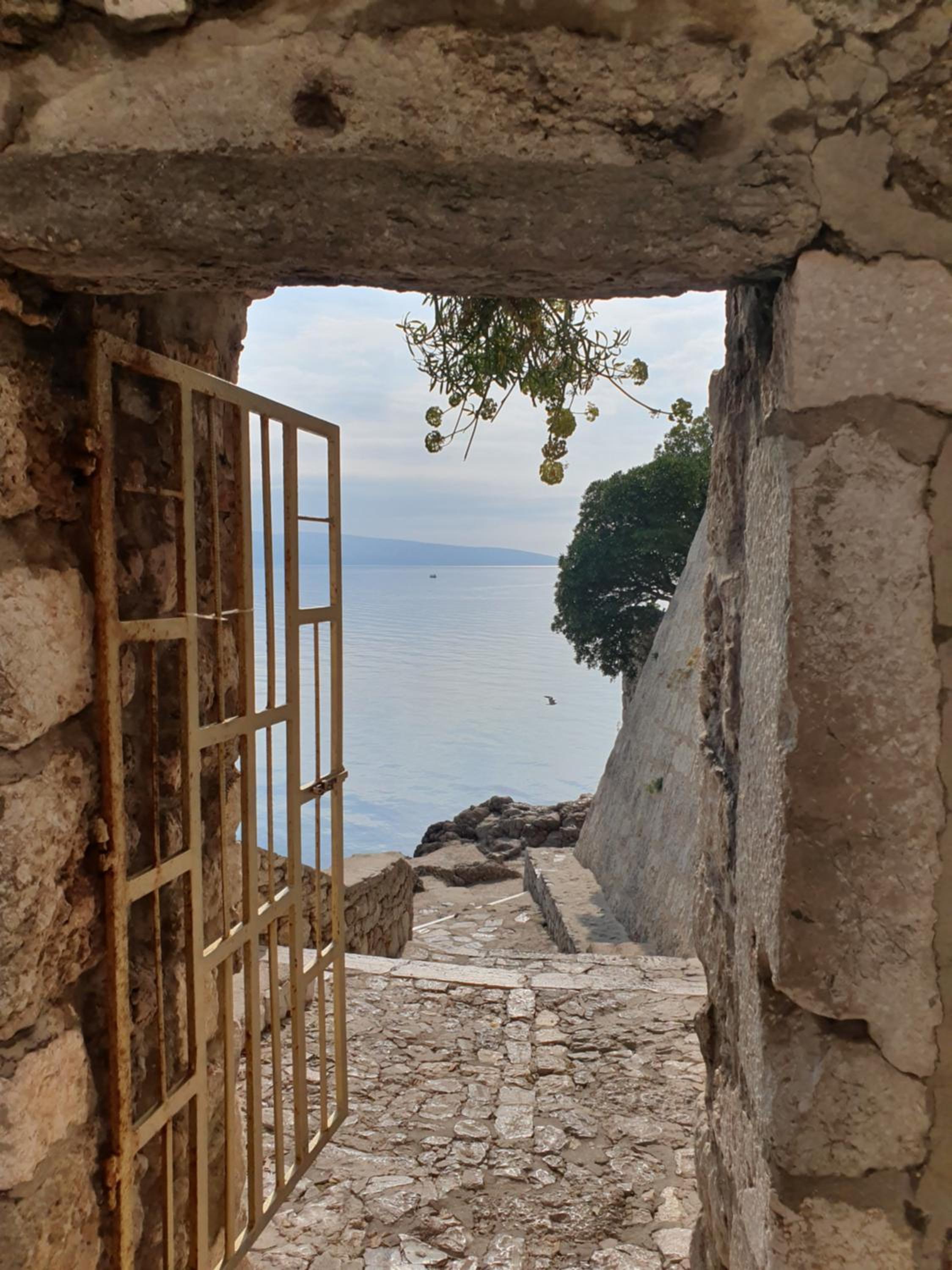 Photo 61