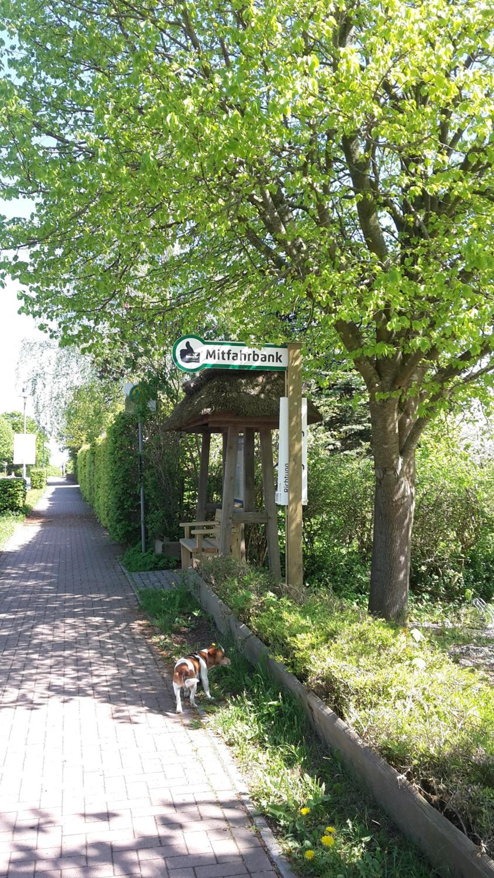 Photo 12
