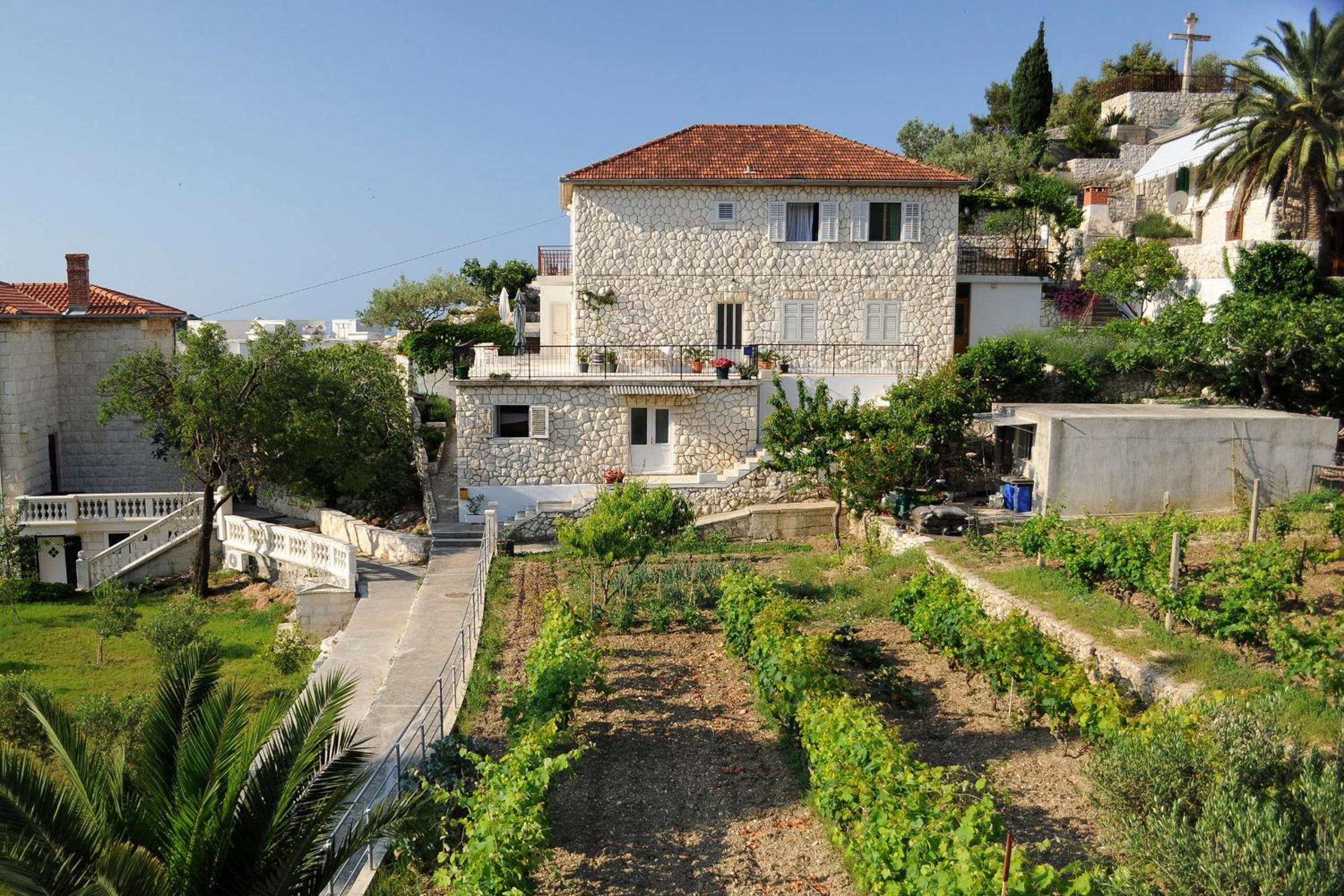 Apartments Olive Tree view 2