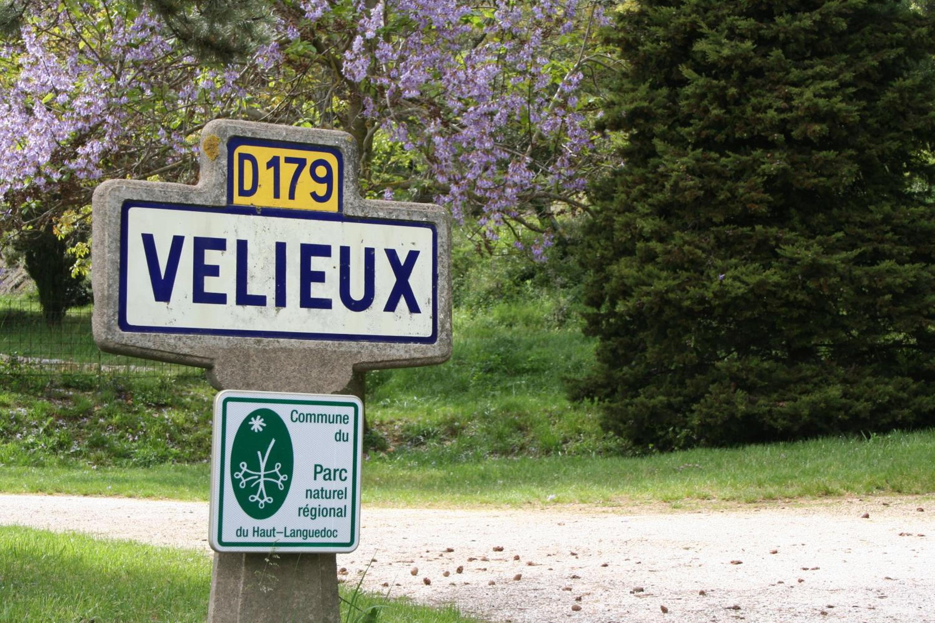 Photo 47