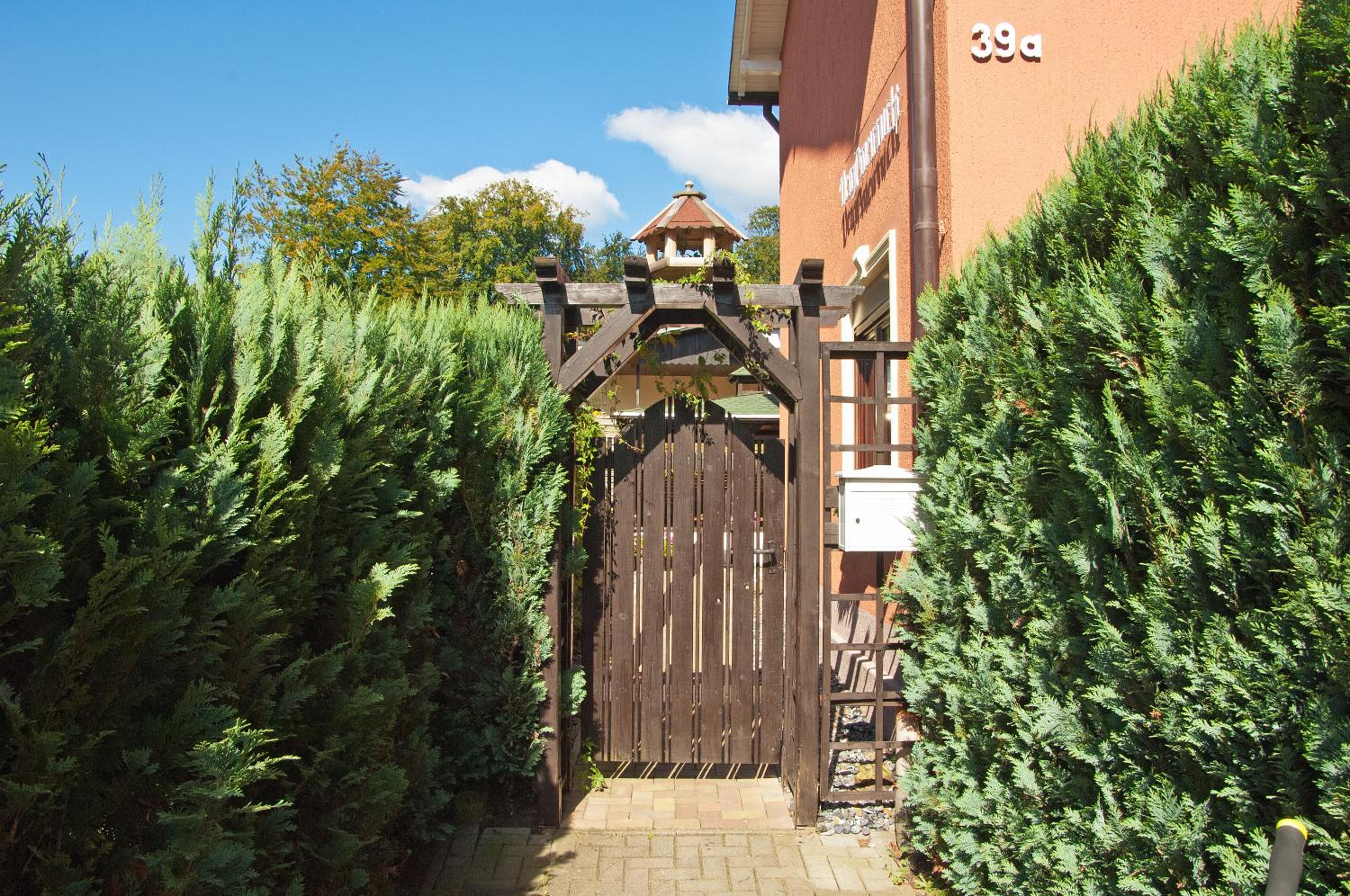 Vergissmeinnicht Studio 2