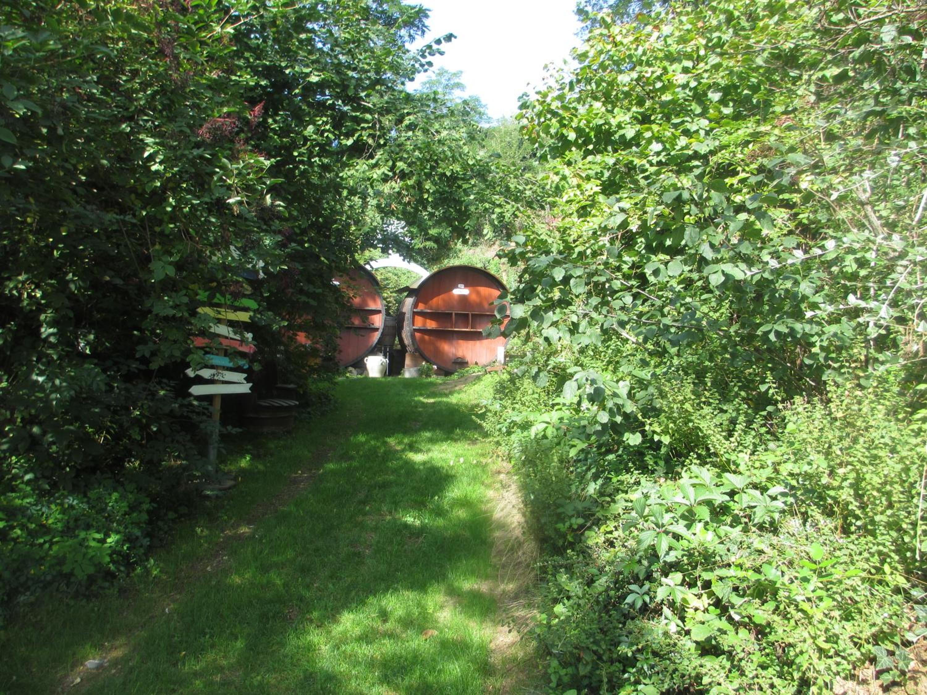 Photo 17