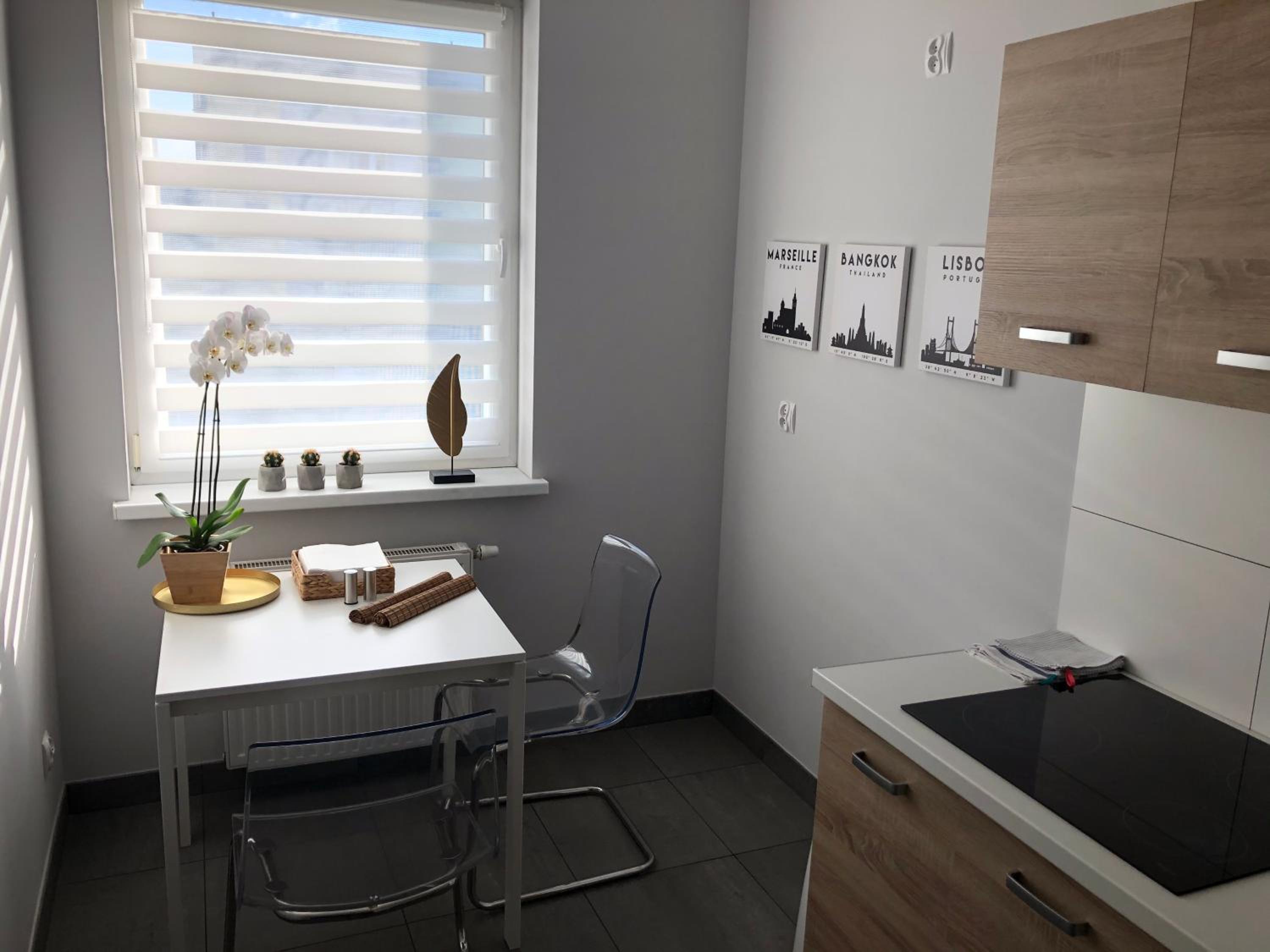 APARTAMENT ŚMIAŁEGO 9 view 3