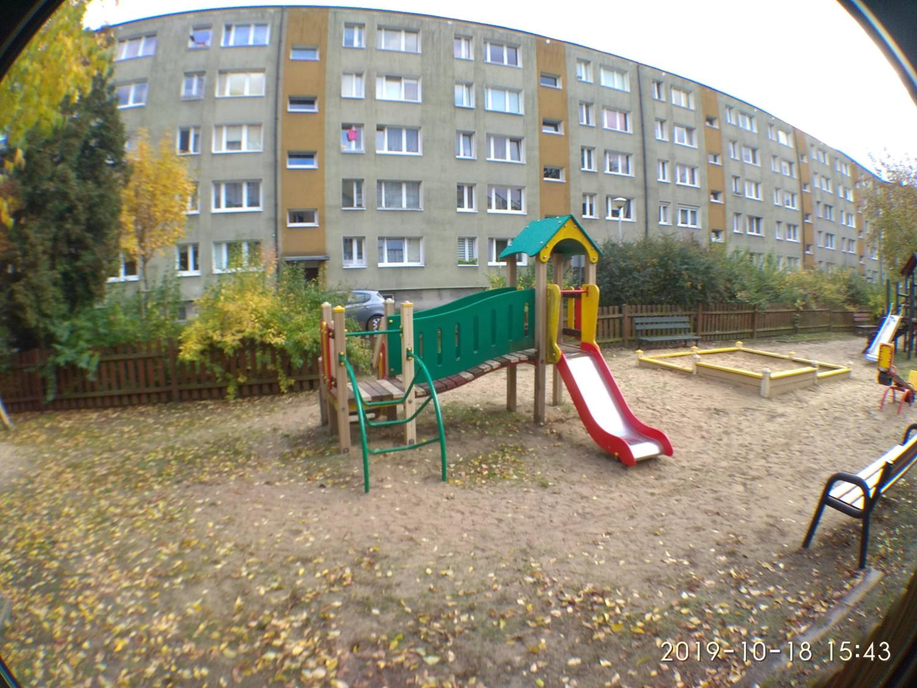 Photo 50