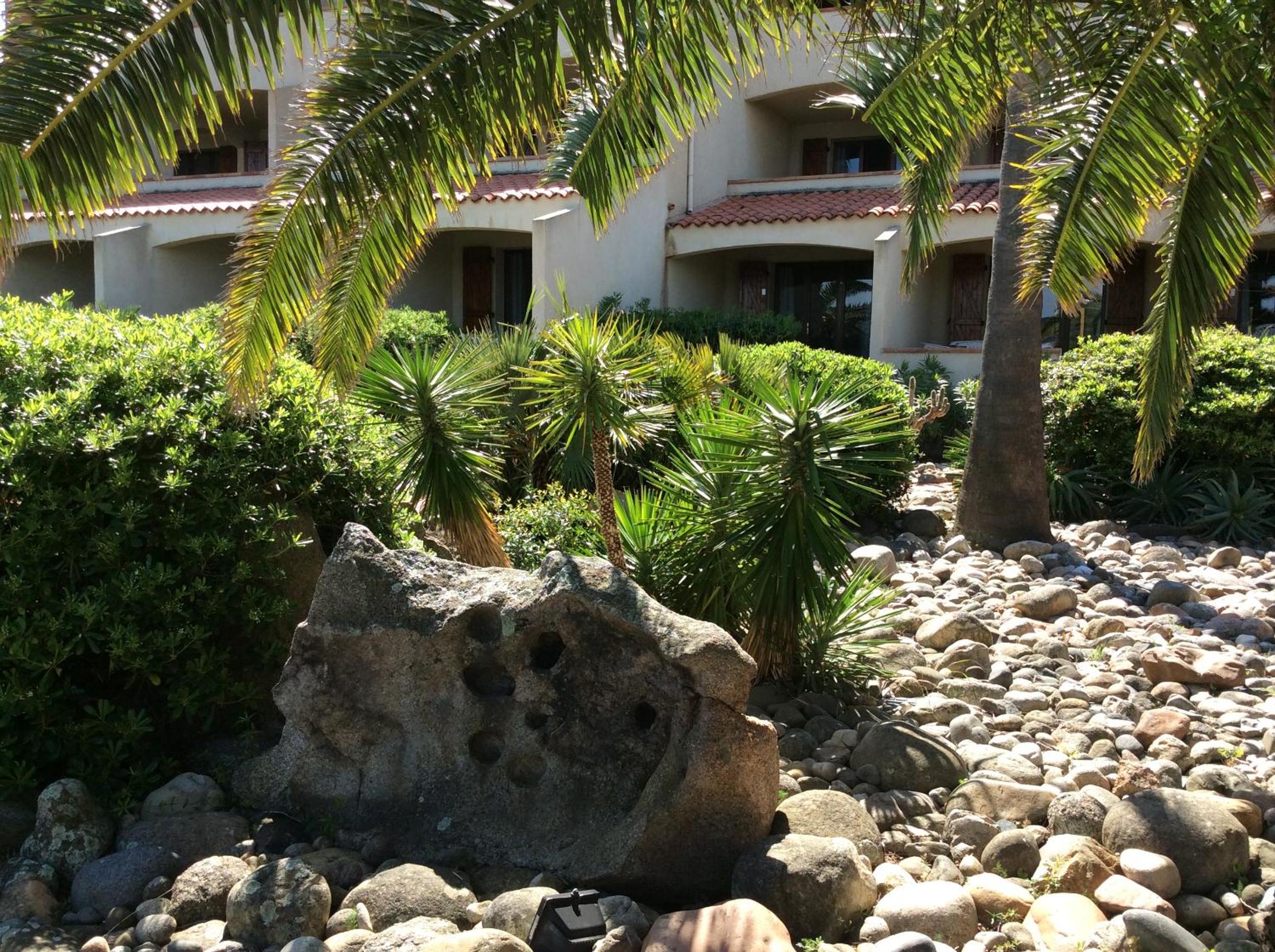 Photo 19