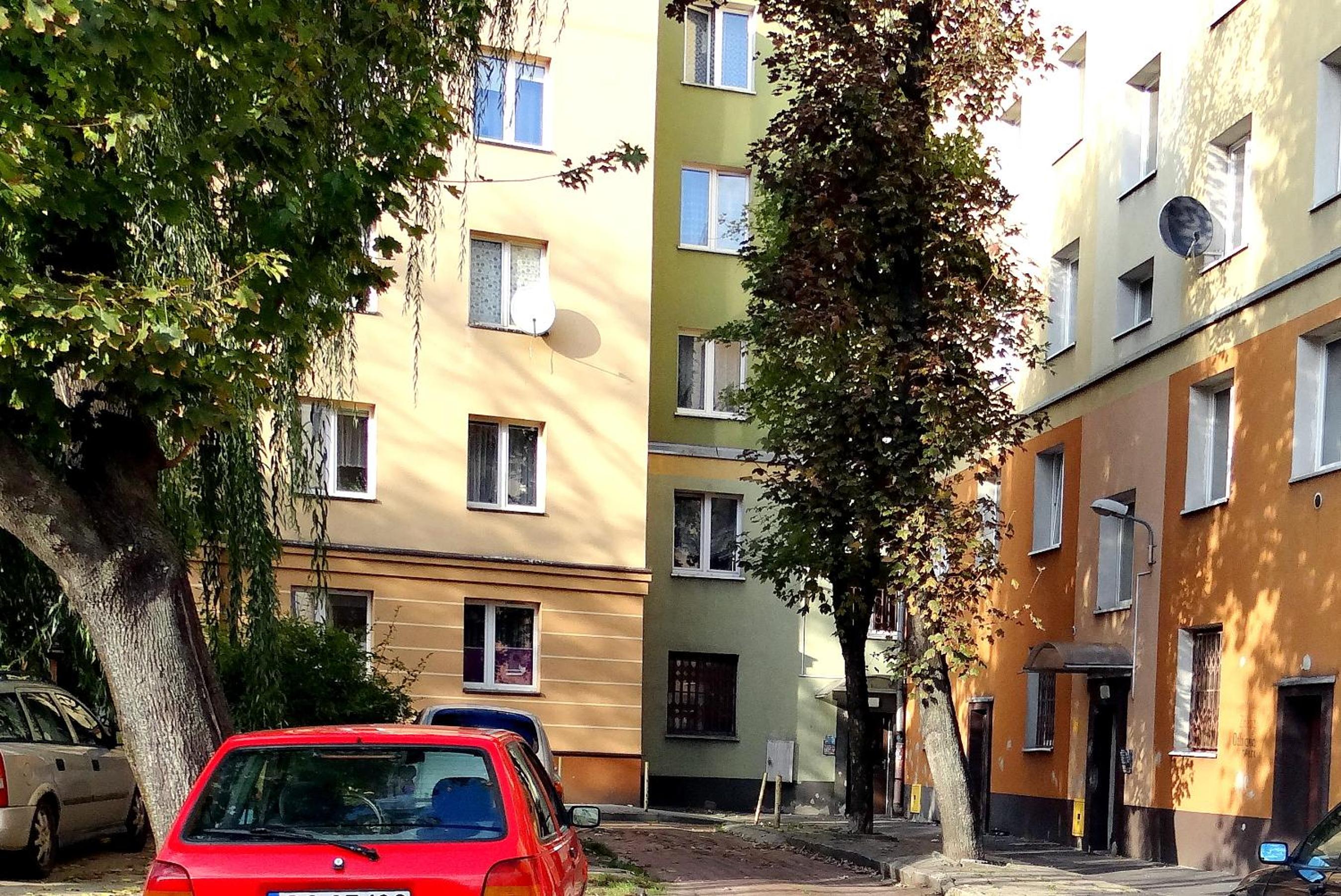 Photo 24