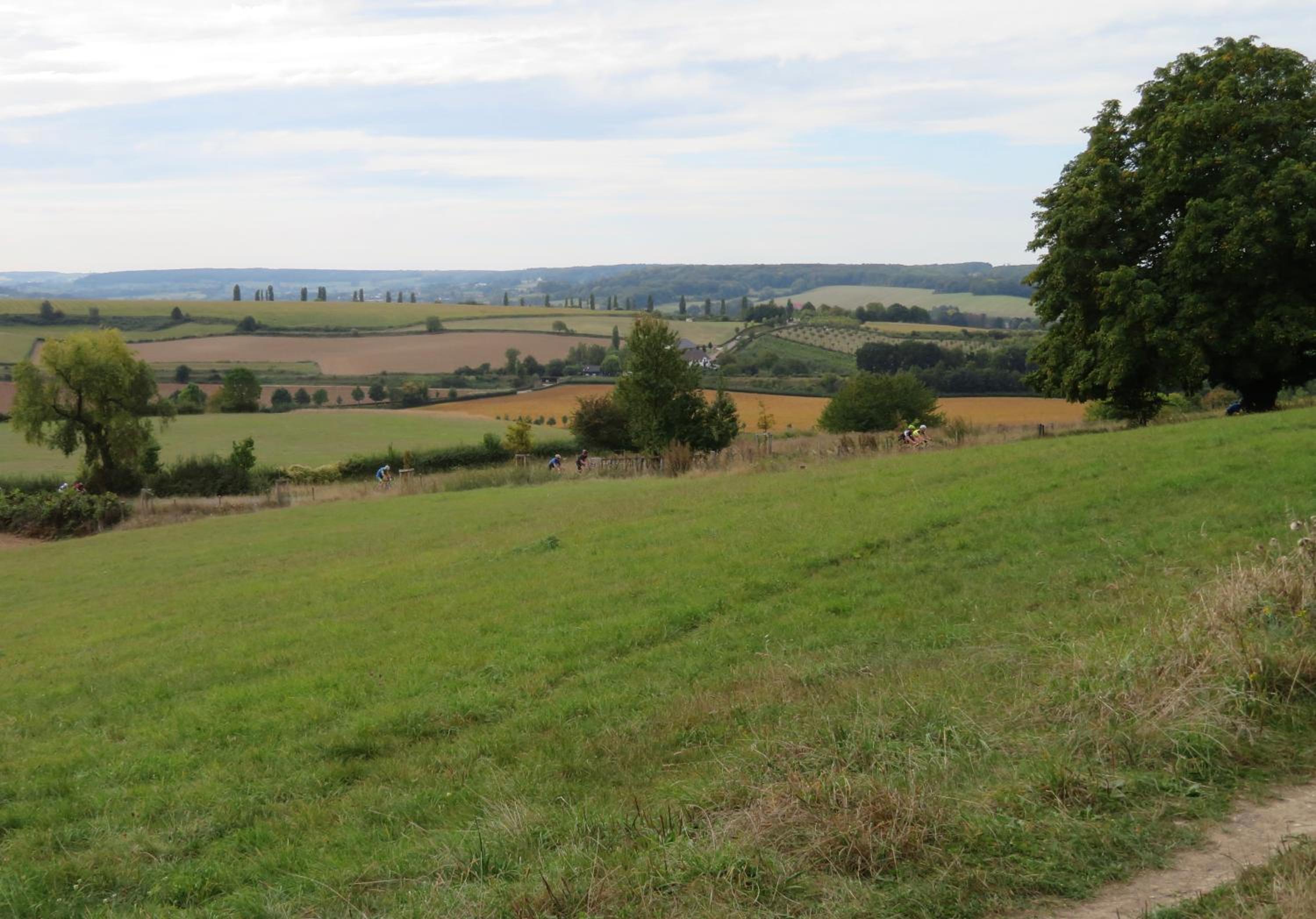 Photo 44
