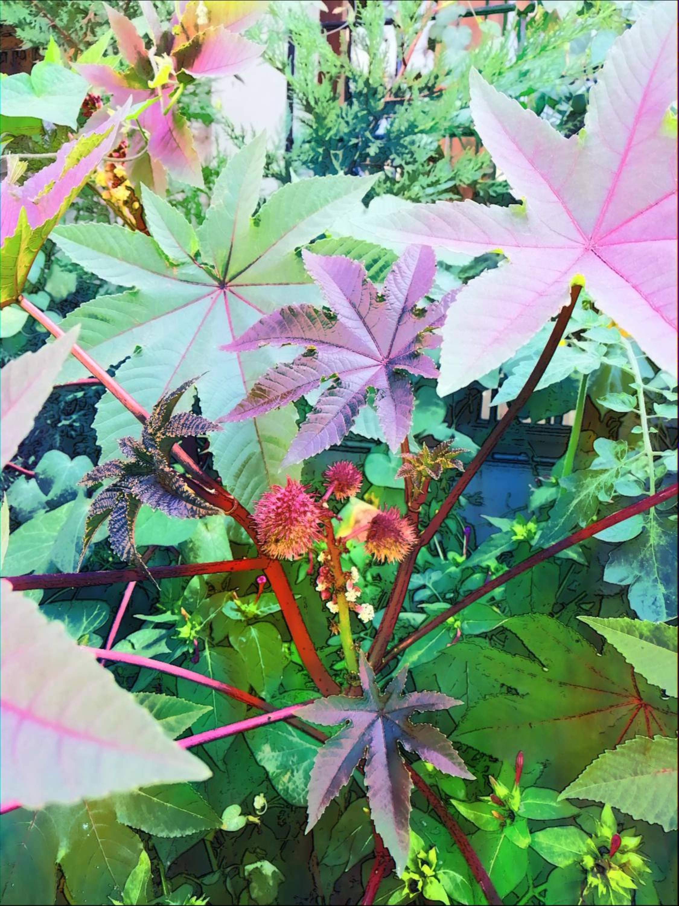 Guzide Cave Hotel - Image 188