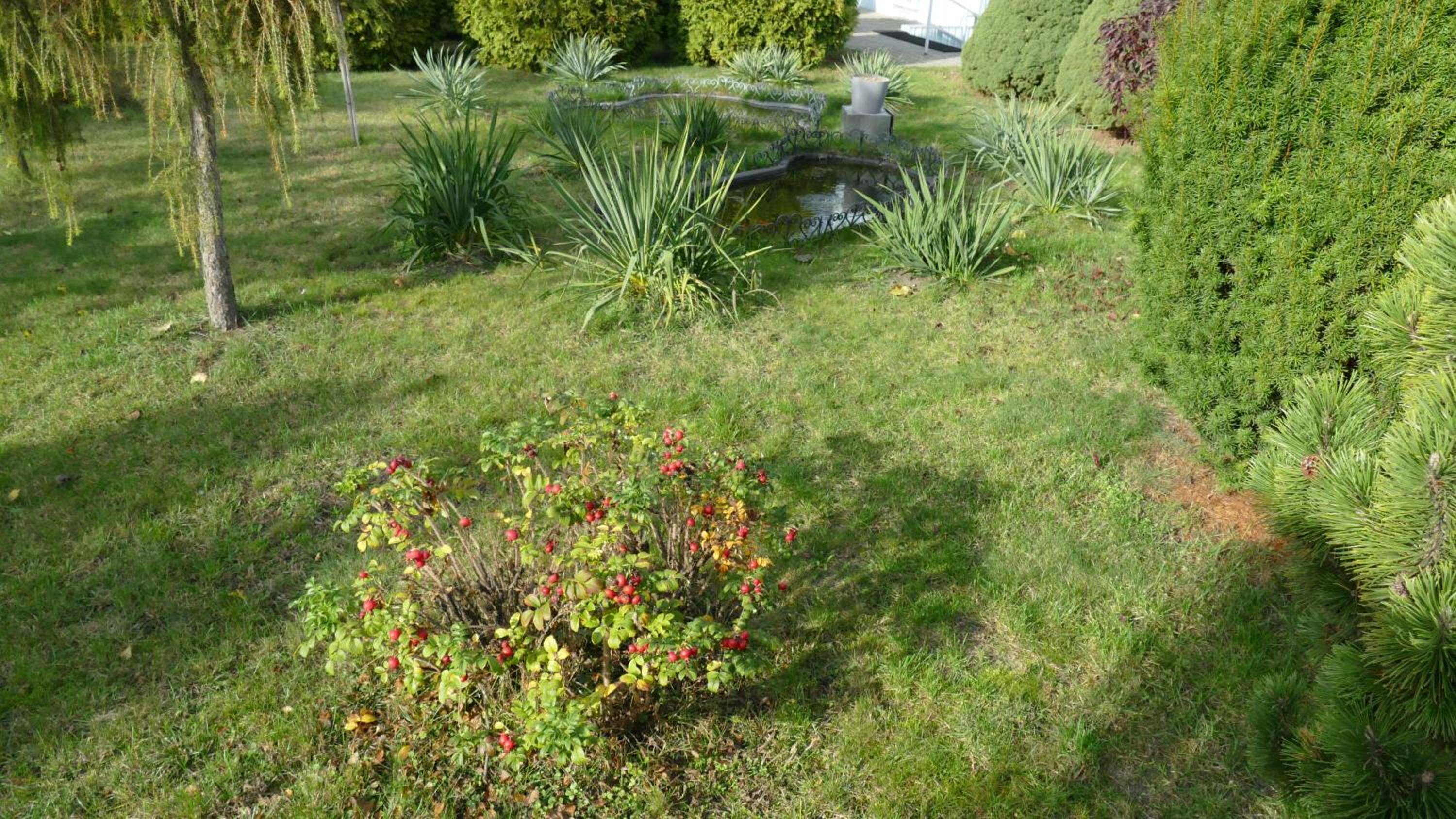 Photo 17