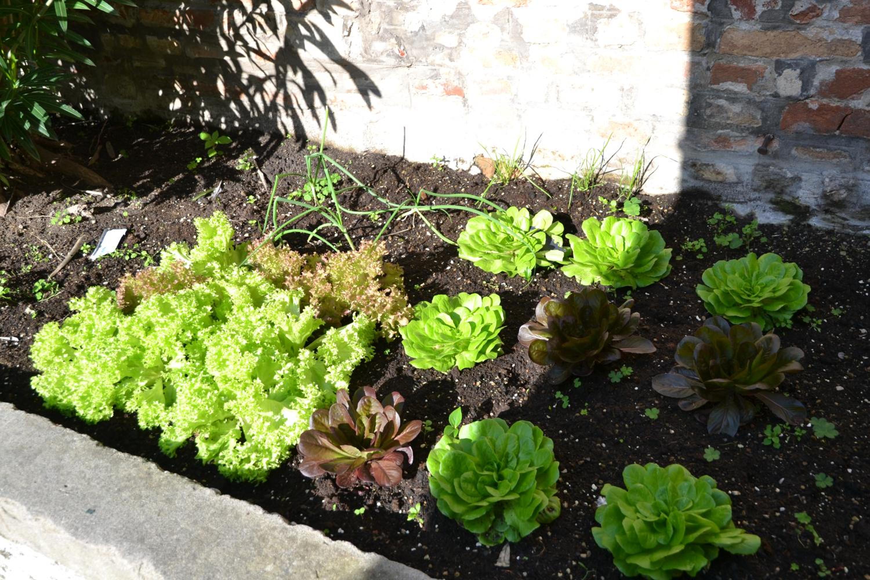 Ca' Ermina & Garden