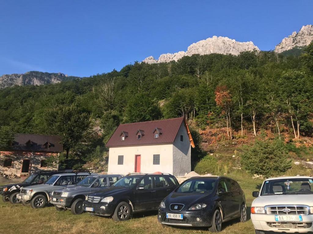 Guesthouse Freskia