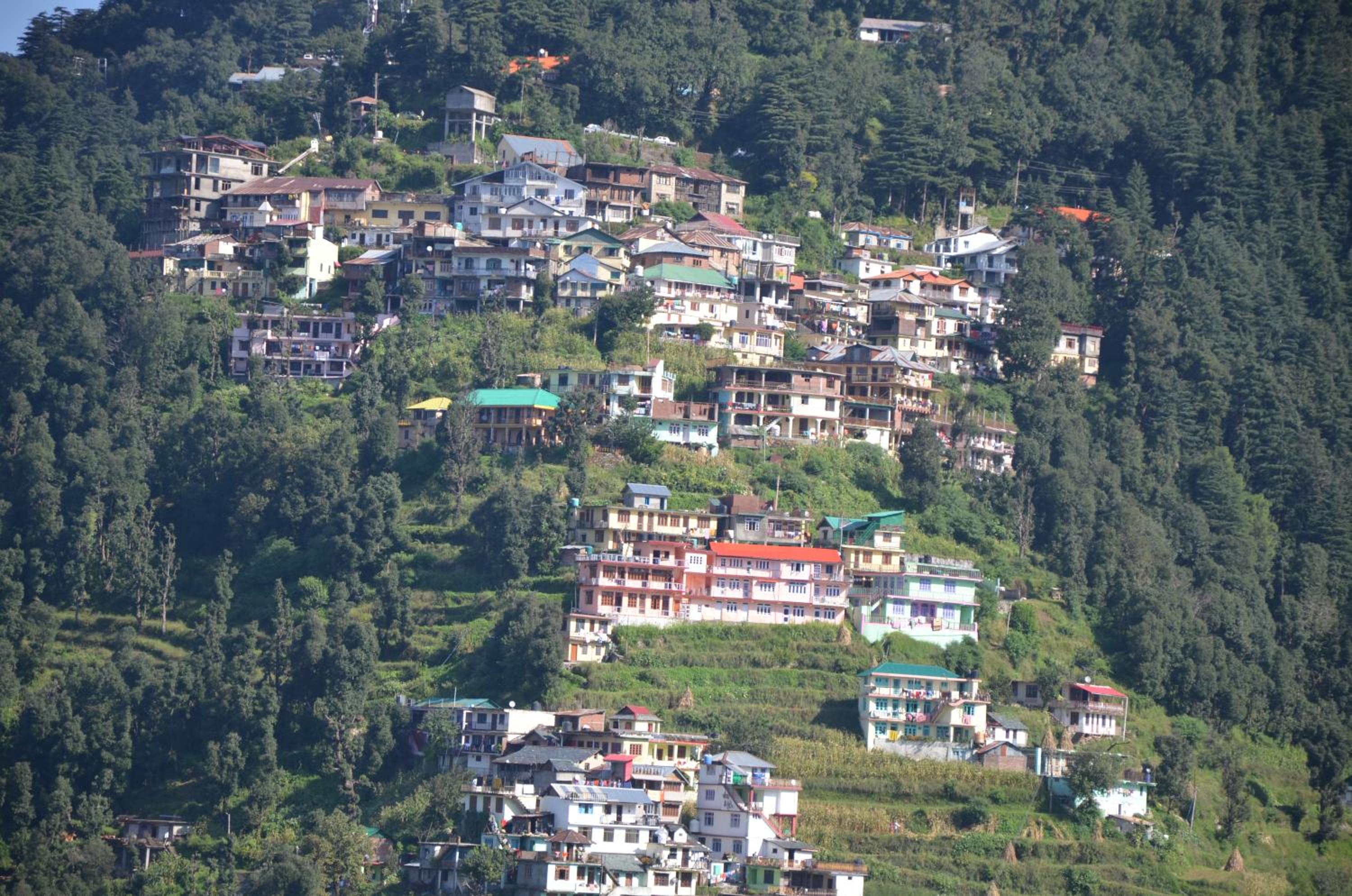 Nomadic Dalhousie