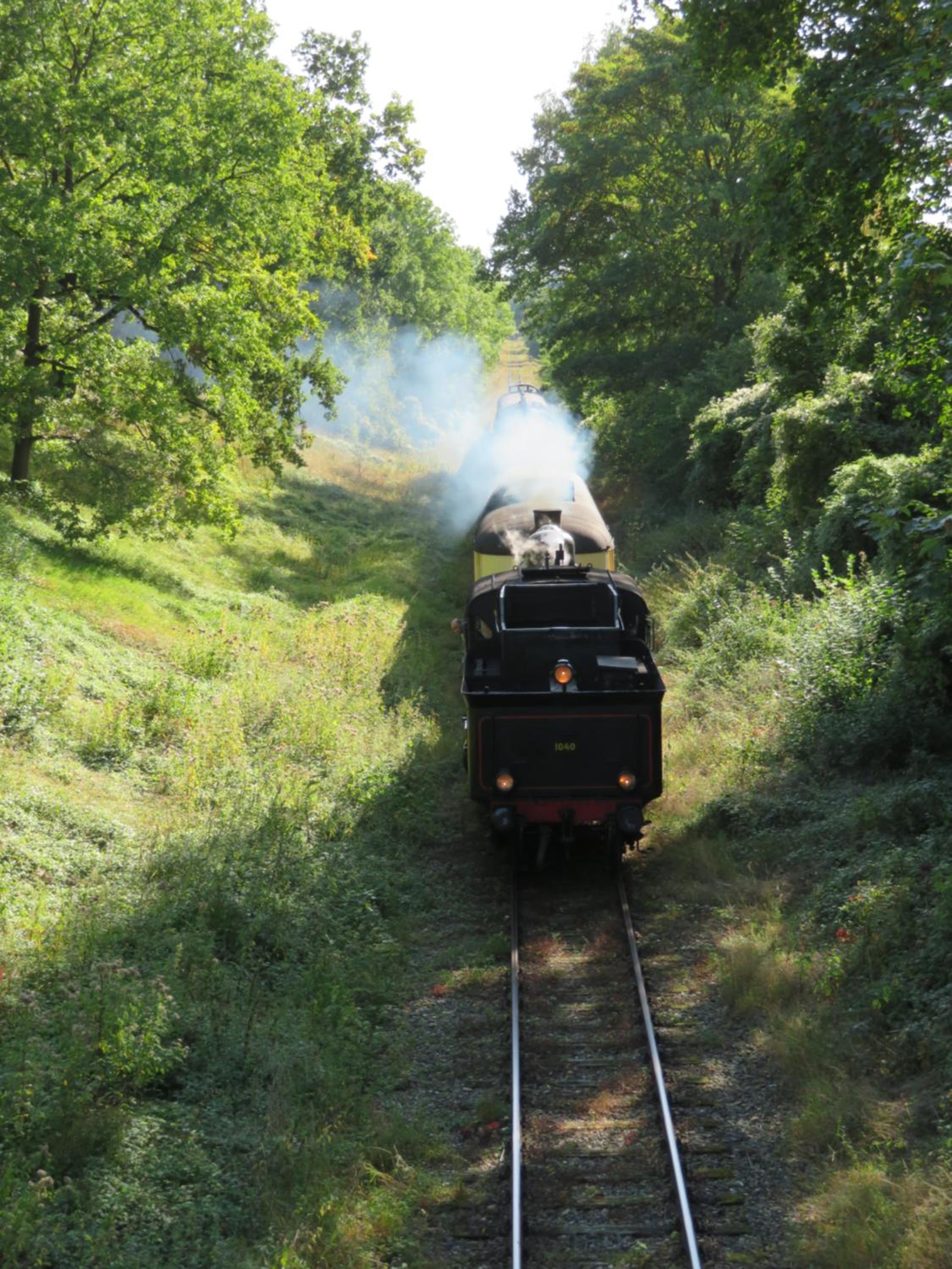 Photo 42