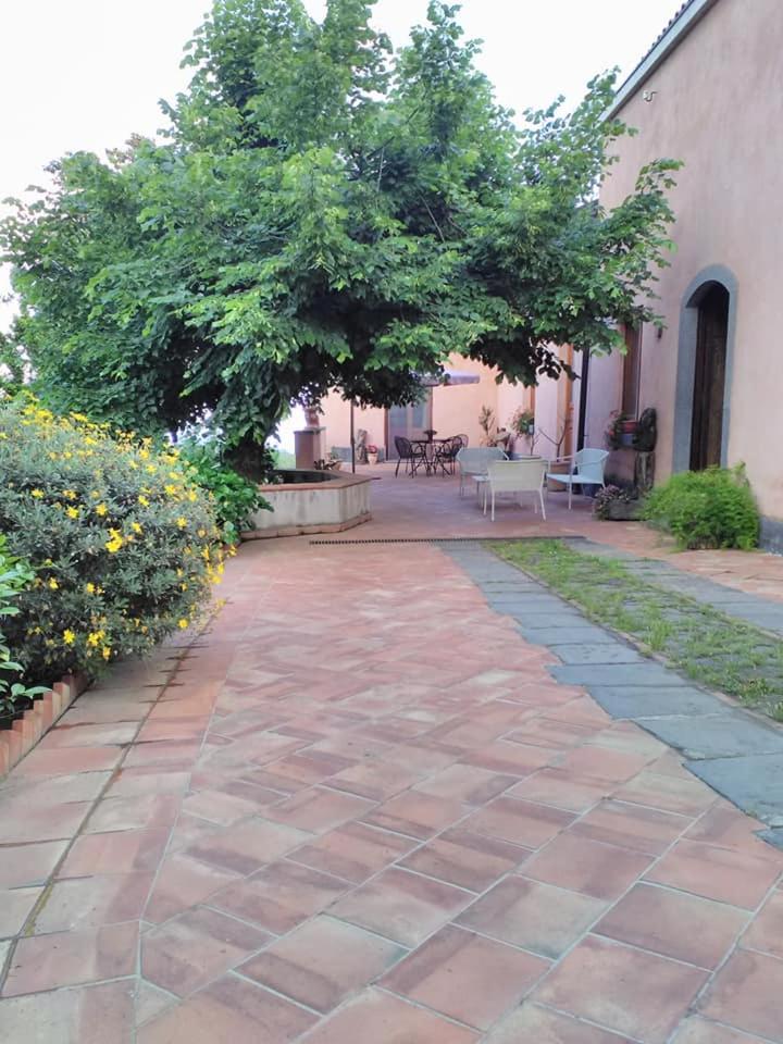 La corte di Bafè B&B "Slow Life" view 3
