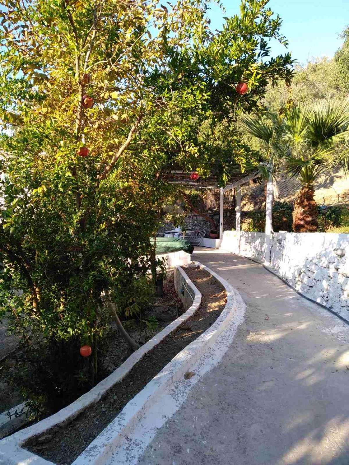 House with beautiful garden in Plomari photo 5