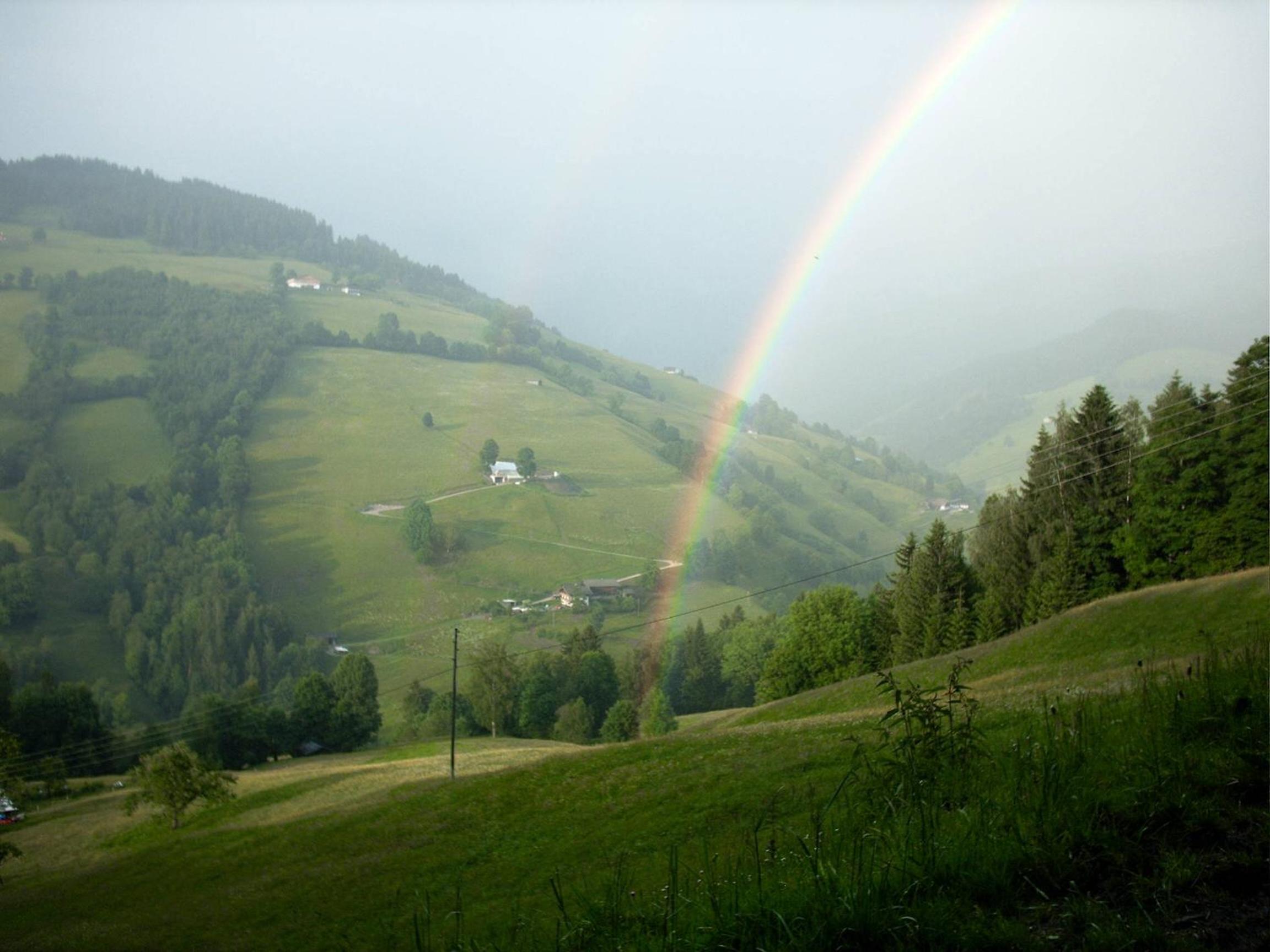 Viehhofbauer
