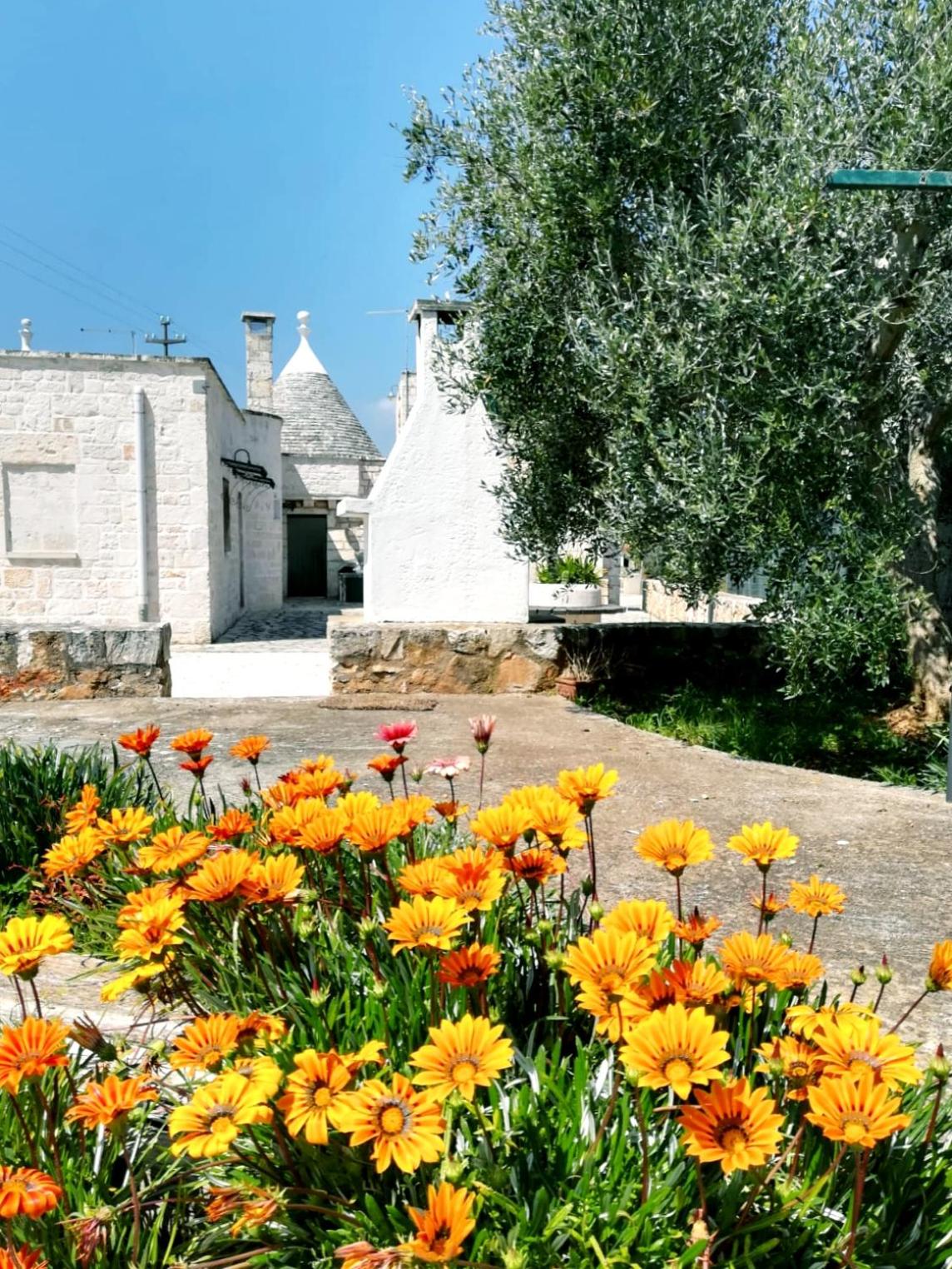 Maison MilleOttocento